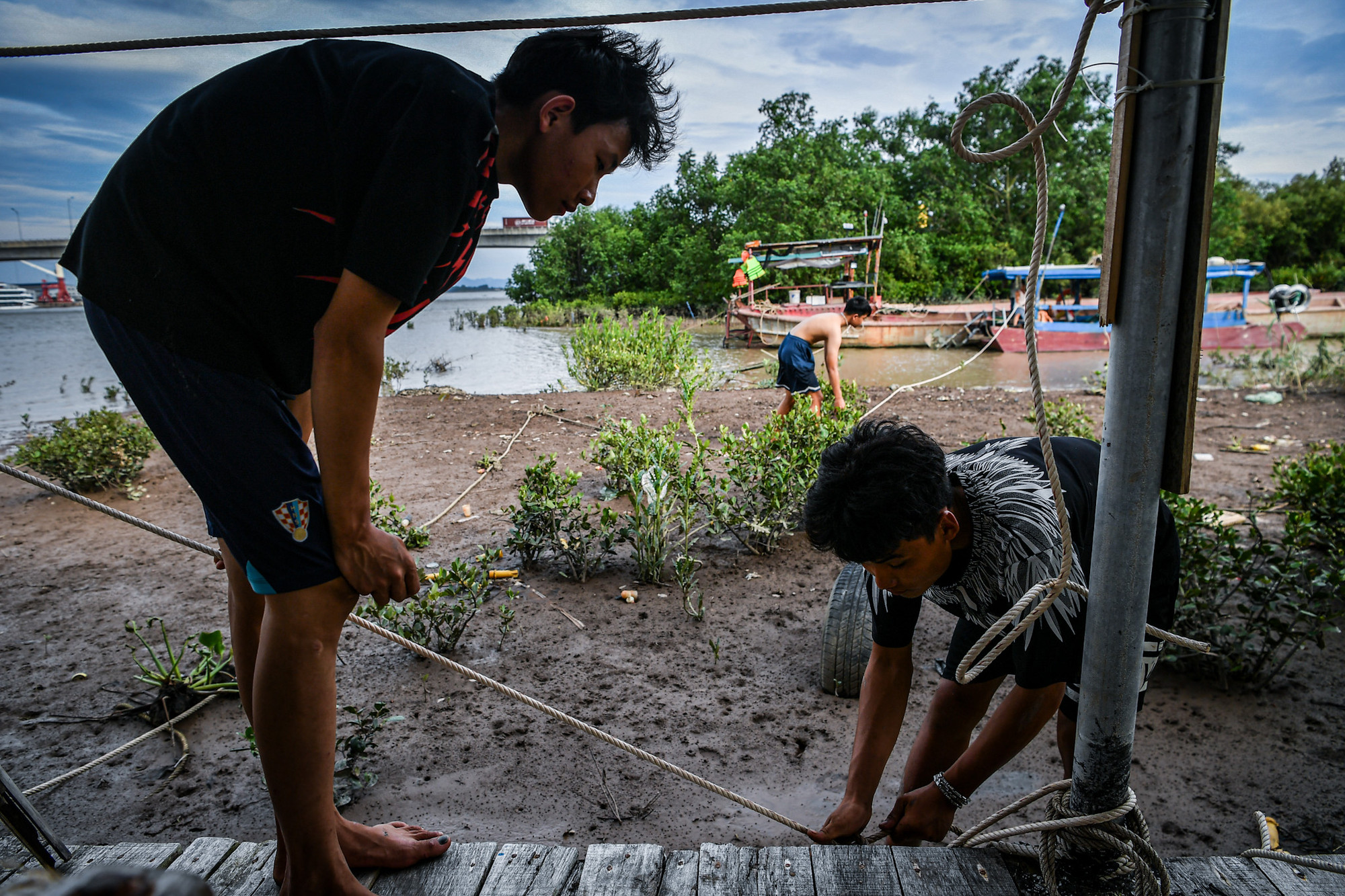 Theo thống kê, toàn thị xã Quảng Yên có 2.308 tàu cá (113 chiếc 15m; 279 chiếc từ 12-15m; 1.097 chiếc 6-12m; 819 chiếc dưới 6m).
