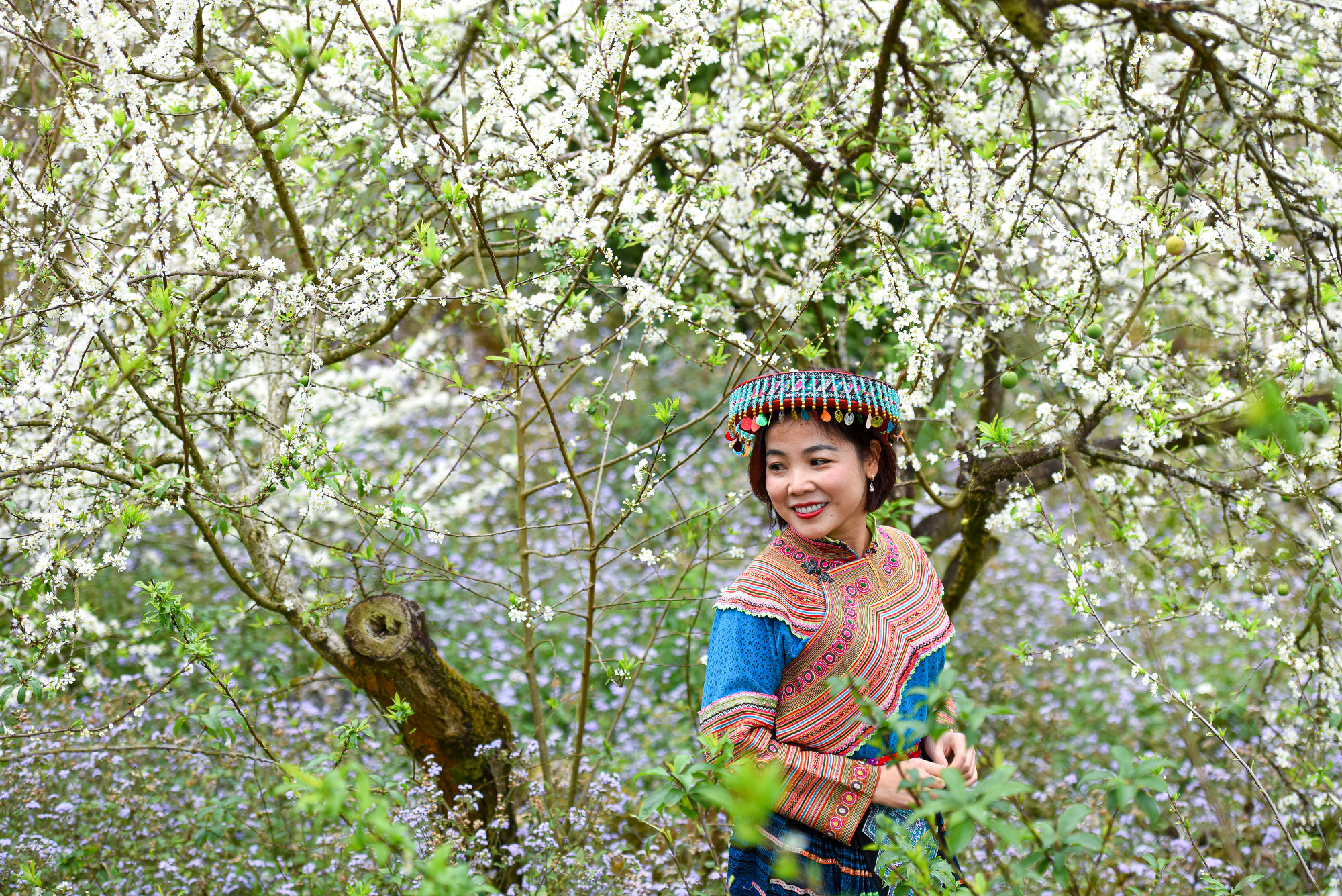 Du khách không khỏi ngỡ ngàng trước vẻ đẹp tựa cổ tích của những vườn mận.