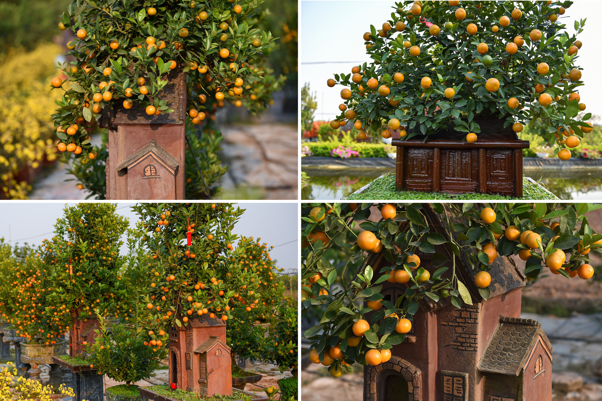 Năm nay, vườn Xuân Lộc đưa ra những sản phẩm mới dựa trên những tác phẩm về phố cổ của Bùi Xuân Phái, được cải tiến hơn, đẹp hơn kiểu dáng.