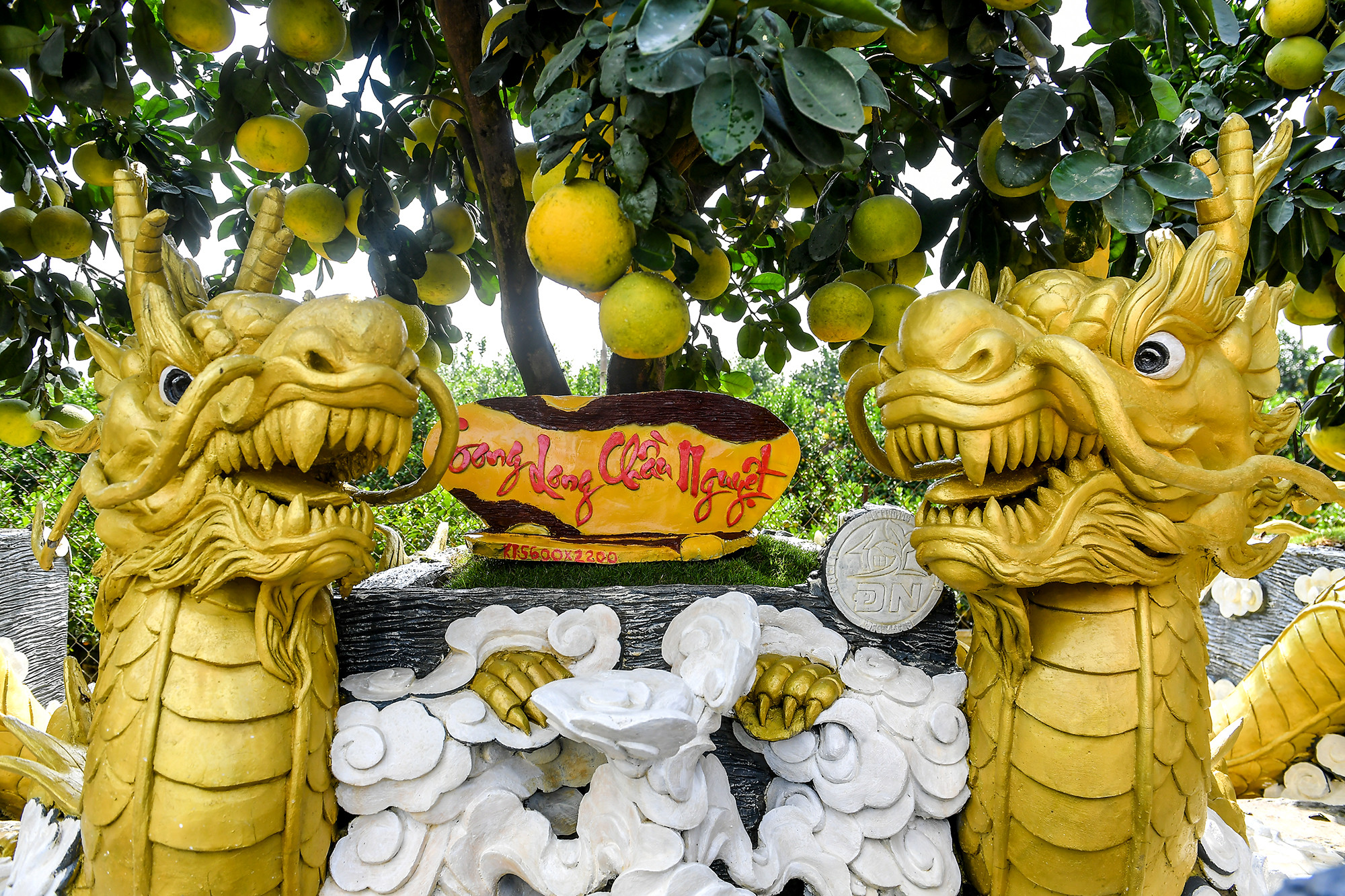 Một số khách đã tìm tới và đặt mua các tác phẩm tại nhà vườn ngay từ trước Tết Nguyên đán 2 tháng. Các tác phẩm về linh vật rồng được người chơi cây Tết năm nay đặc biệt quan tâm.