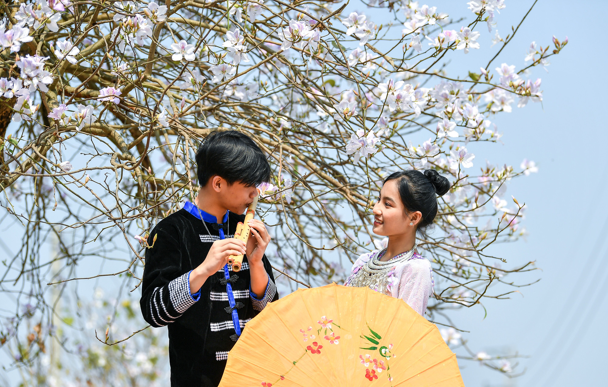 [Ảnh] Thiếu nữ Tây Bắc khoe sắc cùng hoa ban Điện Biên những ngày tháng 3 ảnh 7