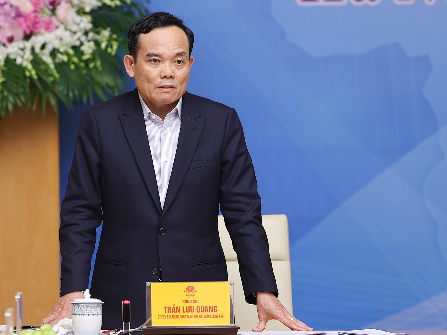 Phó Thủ tướng Chính phủ Trần Lưu Quang phát biểu.