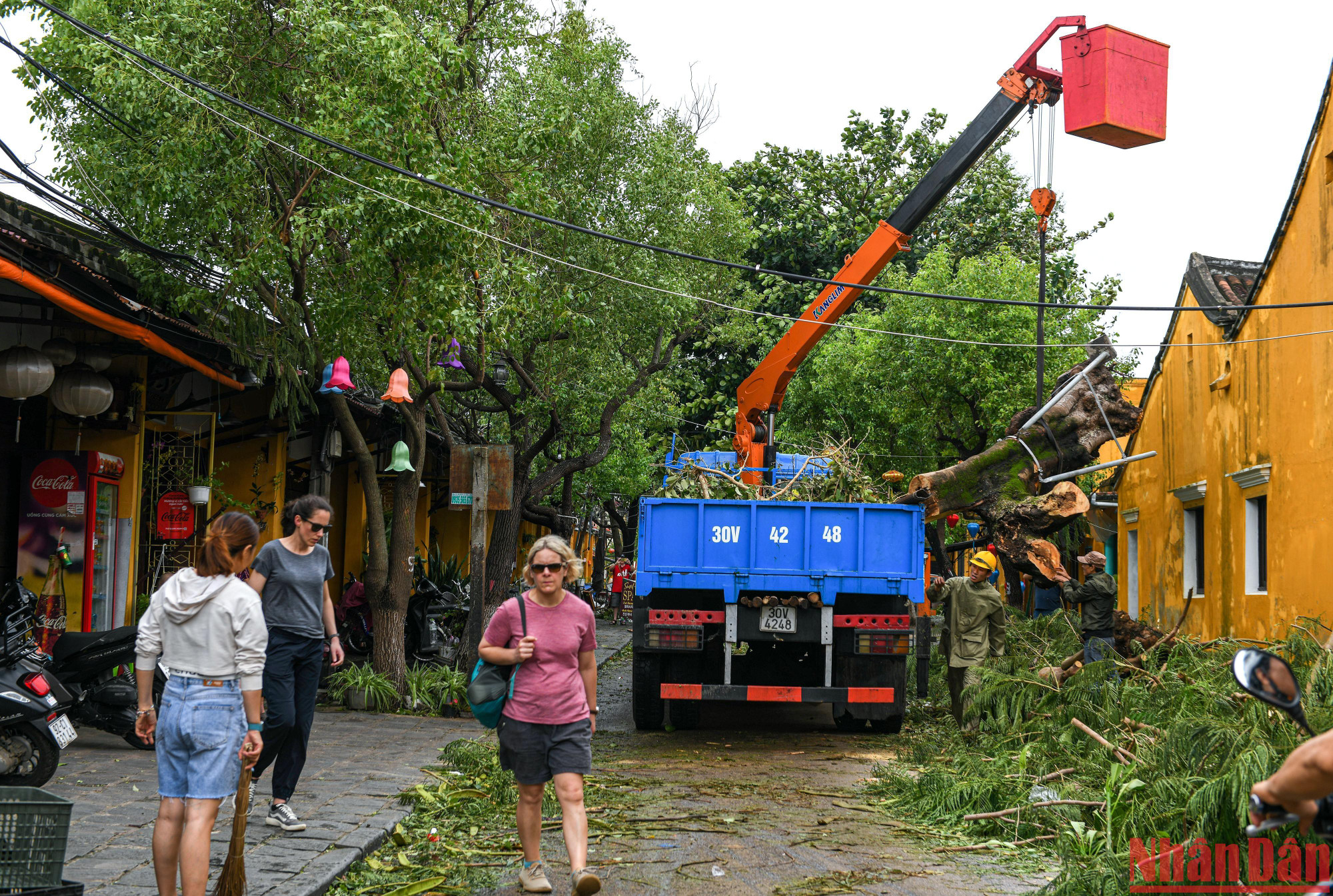 Sáng 28/9, lực lượng chức năng đã tiến hành thu dọn cây đổ sau khi bão đi qua.