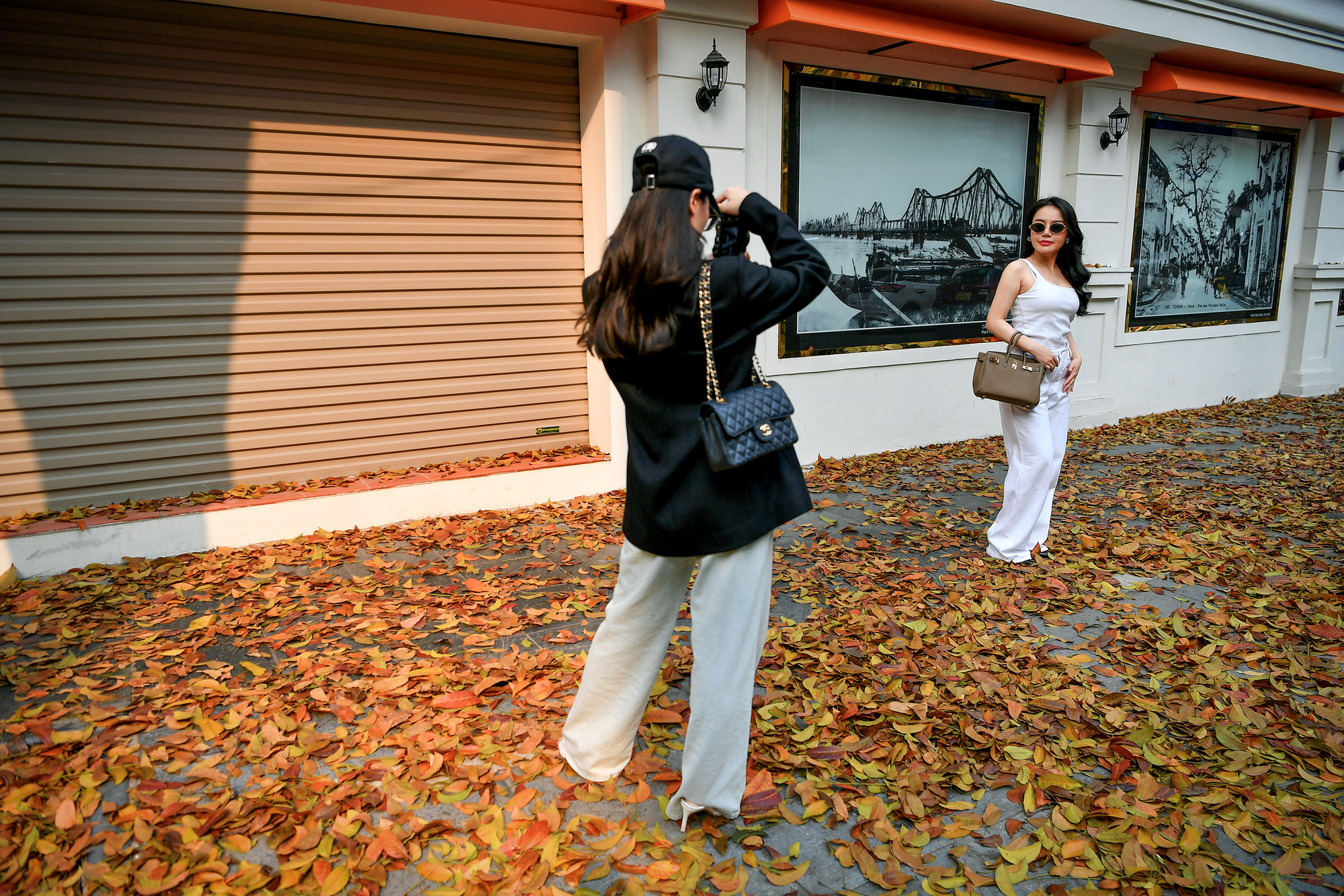 [Ảnh] "Con đường lá vàng" tuyệt đẹp bên ngoài tòa soạn Báo Nhân Dân ảnh 3