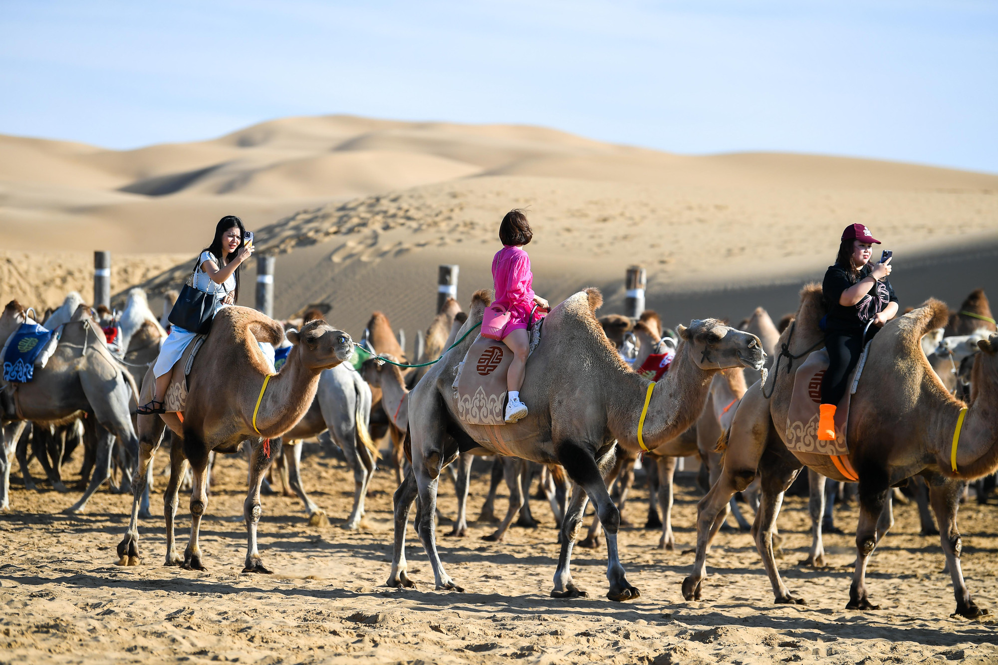 [Ảnh] Sa mạc Vọng Âm-Vẻ đẹp huyền bí nơi vùng đất Nội Mông ảnh 14