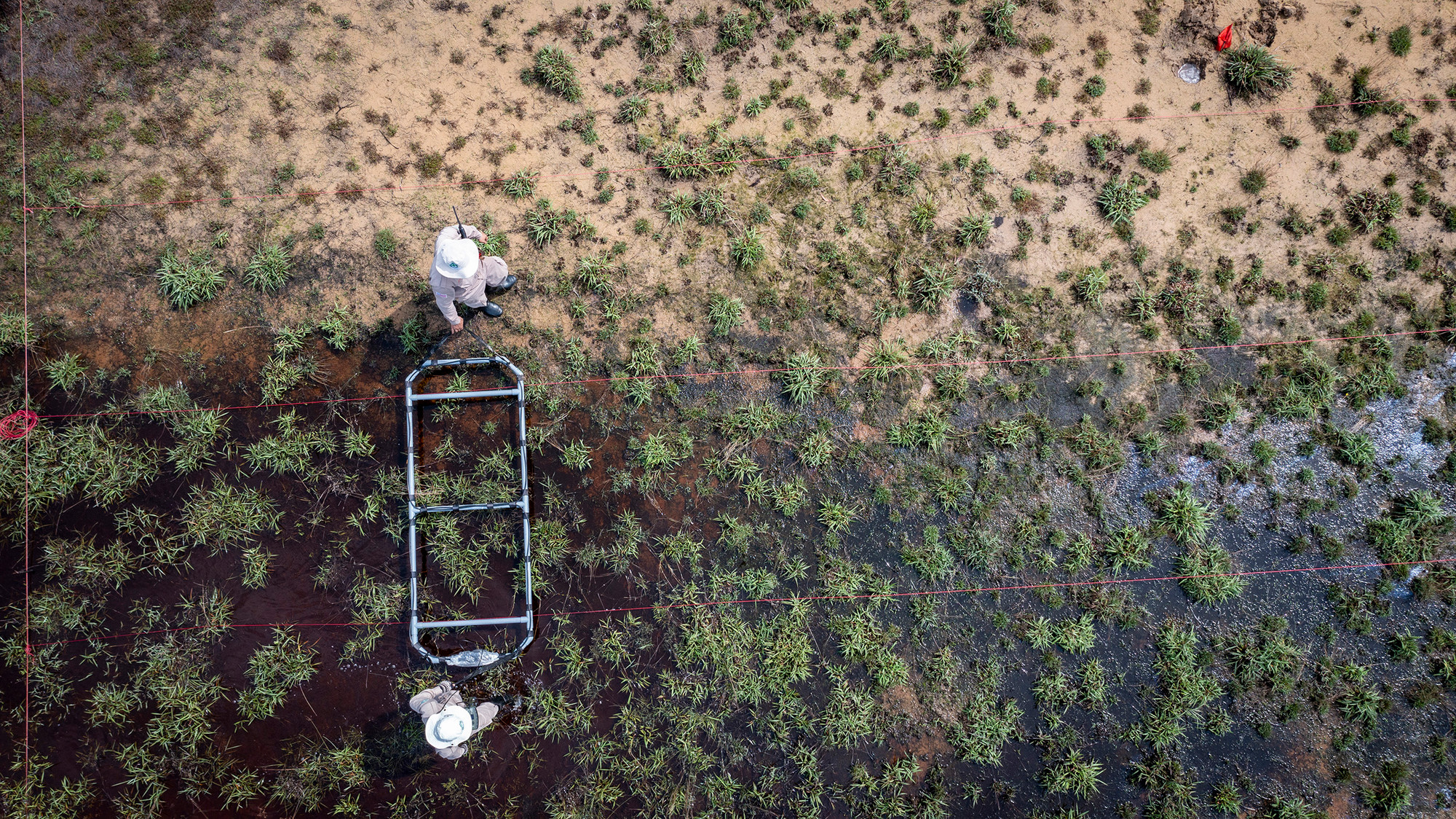 Máy rà khung rộng sẽ quét dọc các luống được chia sẵn để bảo đảm hiệu quả và năng suất công việc.