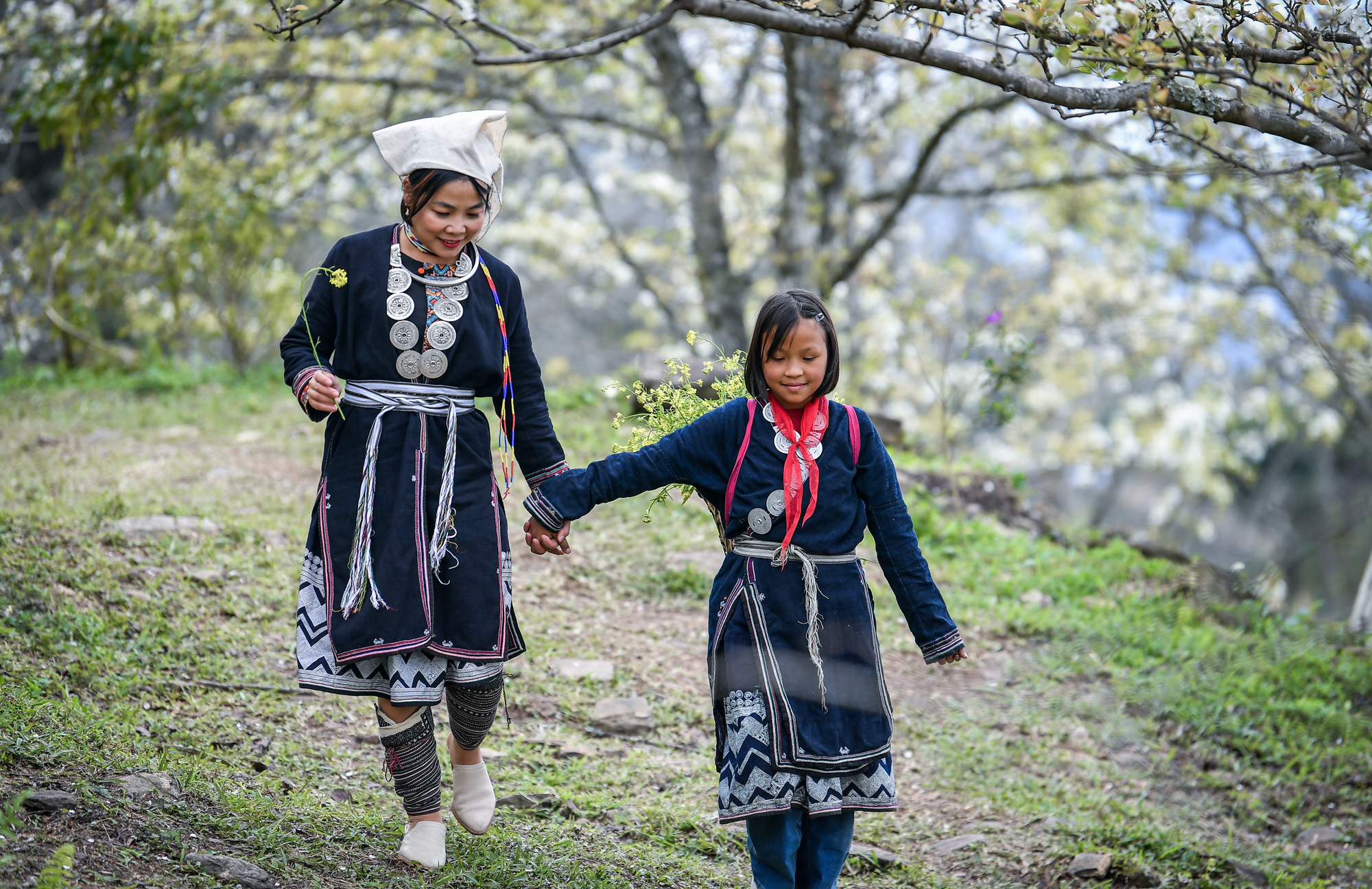 [Ảnh] Lạc bước giữa vườn hoa lê đẹp như cổ tích ở Na Hang, Tuyên Quang ảnh 14