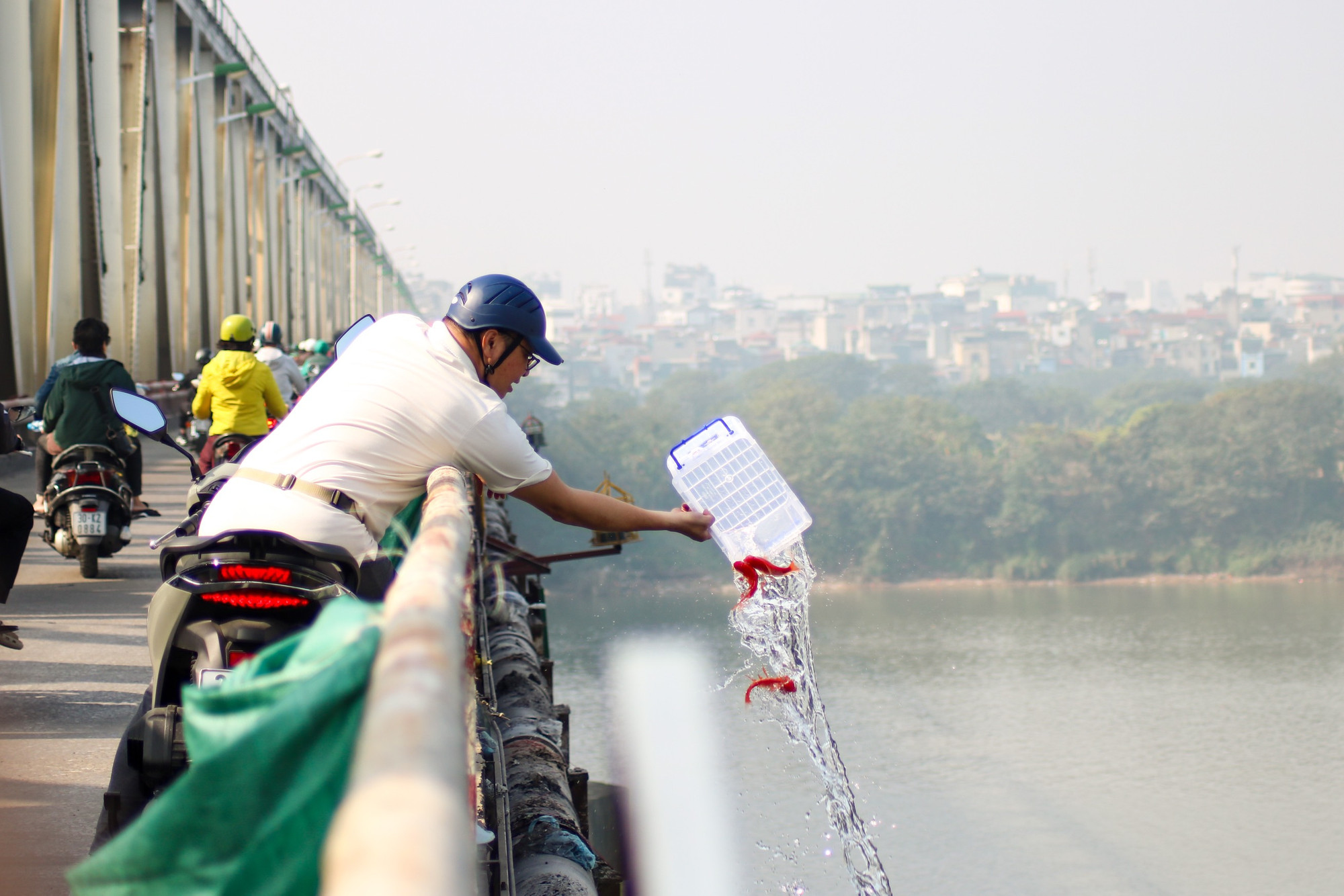 Mặc dù vậy vẫn còn tình trạng người dân thả cá từ trên cầu xuống.