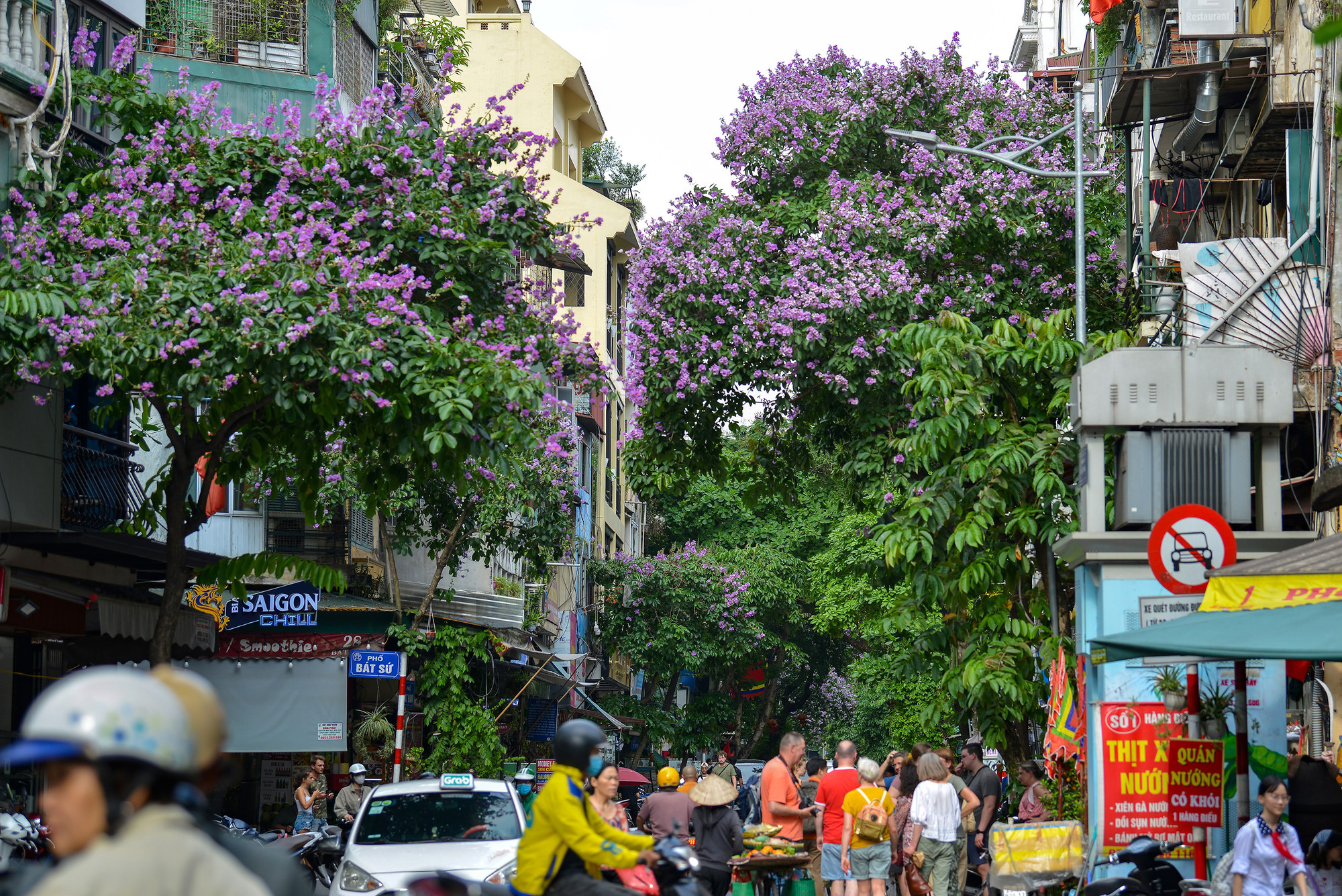 Những ngày này, người dân Thủ đô có thể bắt gặp sắc tím " mộng mơ" của cây bằng lăng ở bất cứ đâu