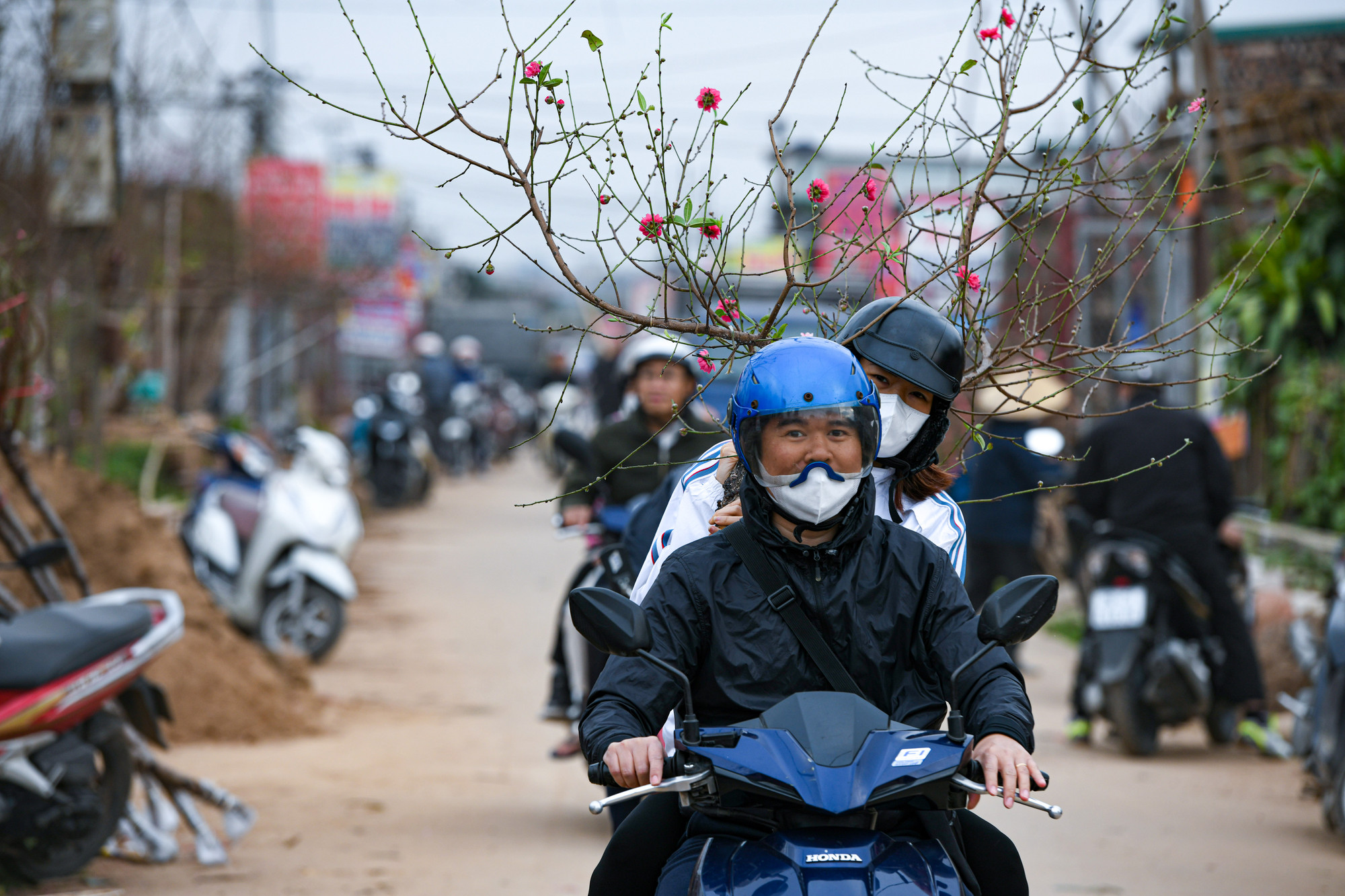 Niềm vui của cặp vợ chồng khi mua được cành đào đẹp, Tết đến thật rồi!