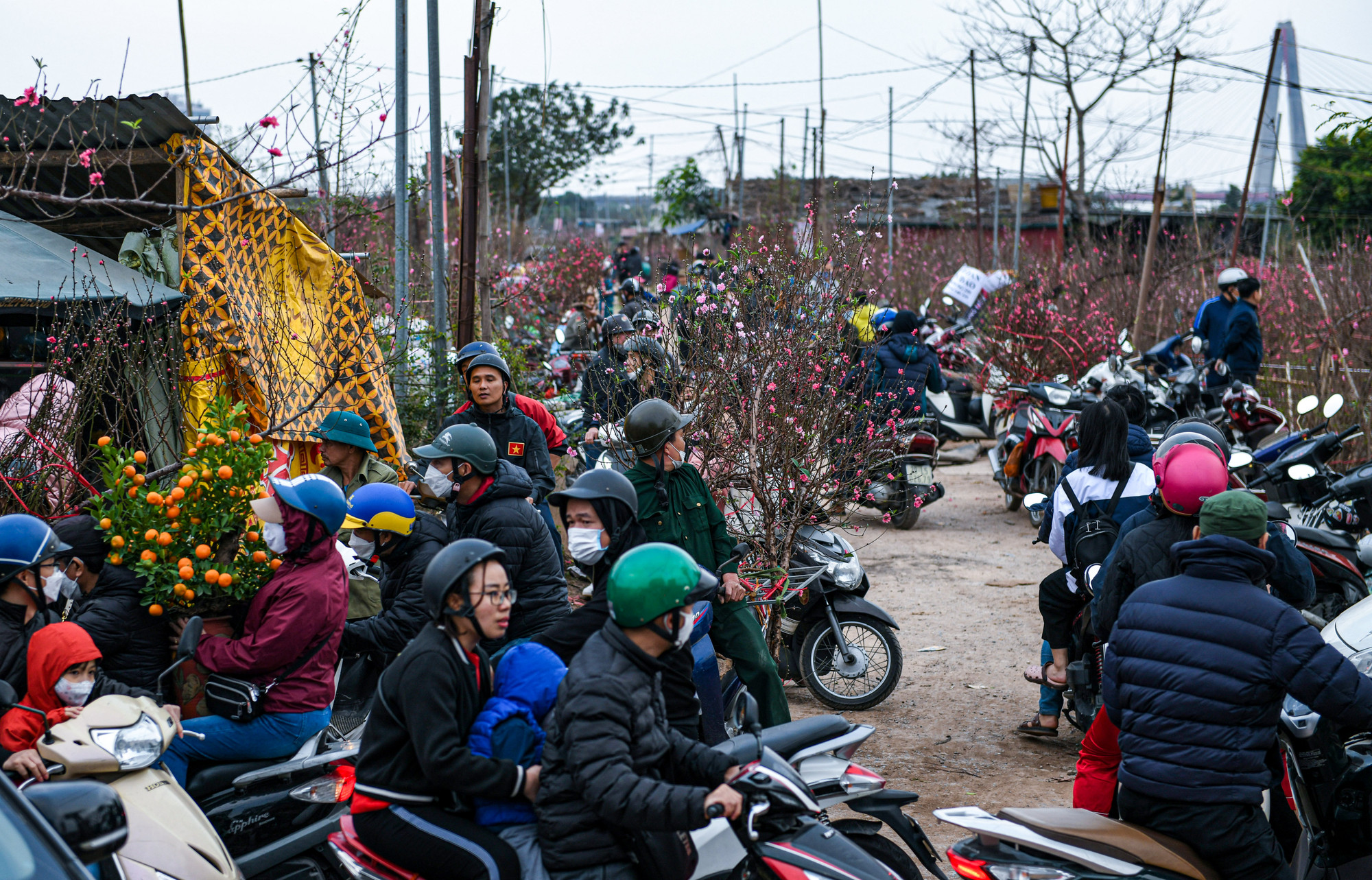 Dòng người ken đặc, đông đúc dịp cuối năm. Đây là dịp người dân tới làng đào chọn mua những cành đẹp nhất về trưng trong nhà.