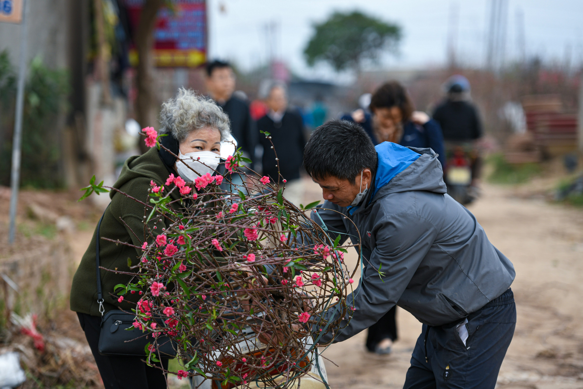 Dịch bệnh được kiểm soát, nhu cầu của người dân tăng “chóng mặt” nên giá đào năm nay cao hơn gấp 1,5 lần so với năm ngoái. Hiện đào tại vườn có nhiều mức giá khác nhau, cây vừa có giá 1-3 triệu đồng, có cây 50-80 triệu đồng thậm chí có cây vài trăm triệu đồng tùy dáng, thế và đường kính của gốc đào.