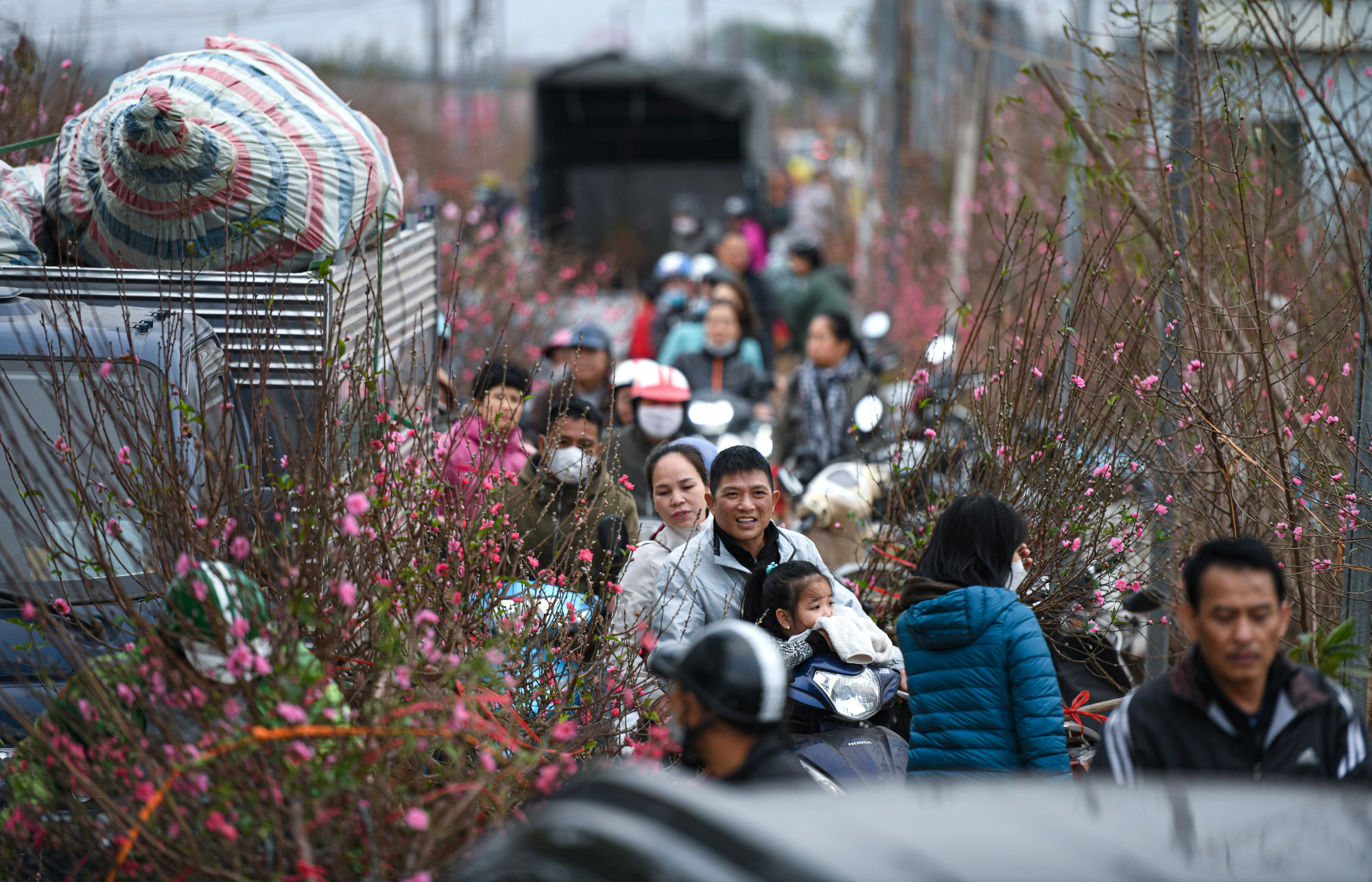 Đường vào làng Nhật Tân ùn tắc, nhưng trong không khí Tết, dẫu tắc đường nhưng được ngắm đào chung quanh khiến người dân vẫn thấy vui vẻ.