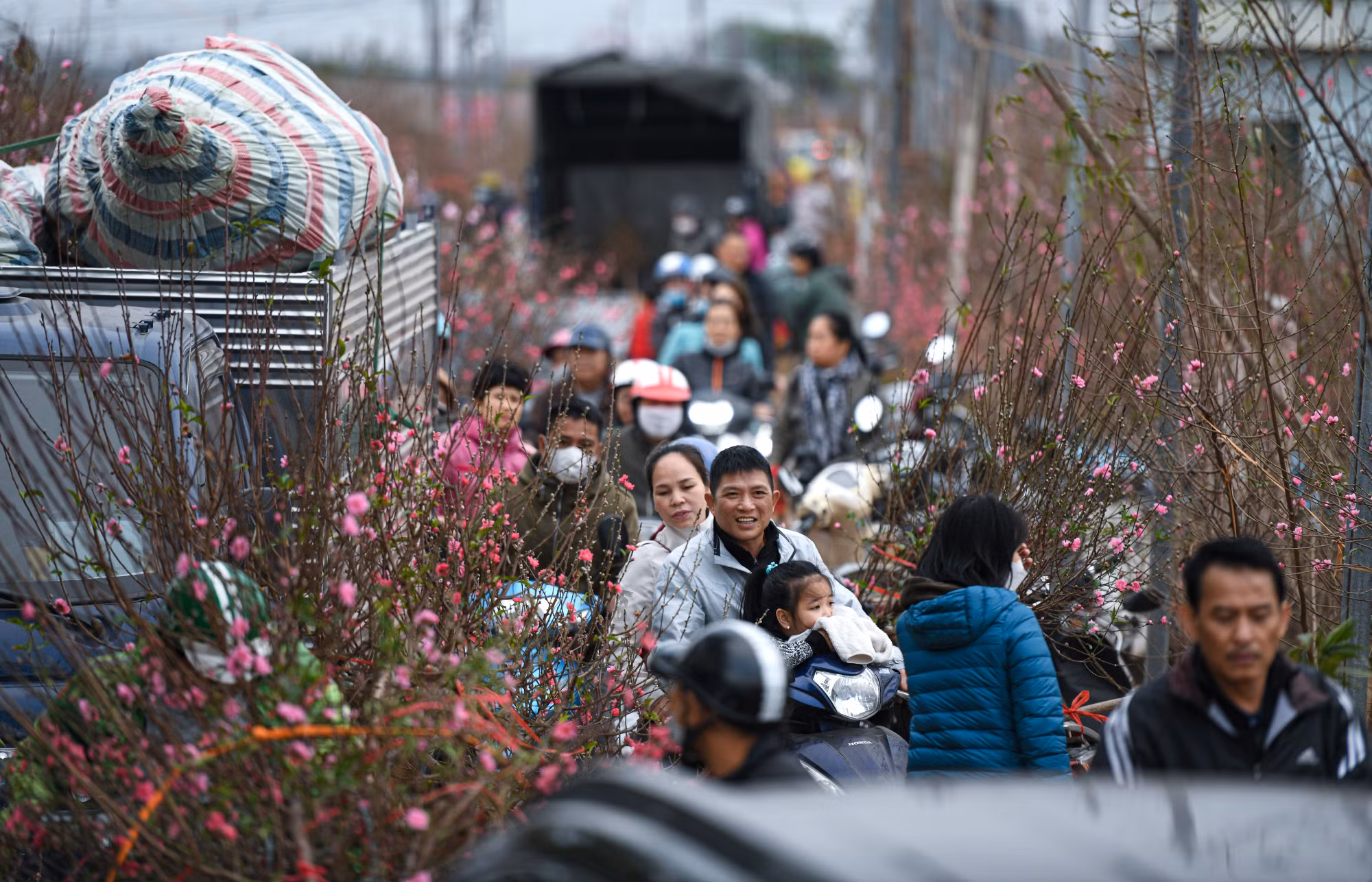 Đường vào làng Nhật Tân ùn tắc, nhưng trong không khí Tết, dẫu tắc đường nhưng được ngắm đào chung quanh khiến người dân vẫn thấy vui vẻ.