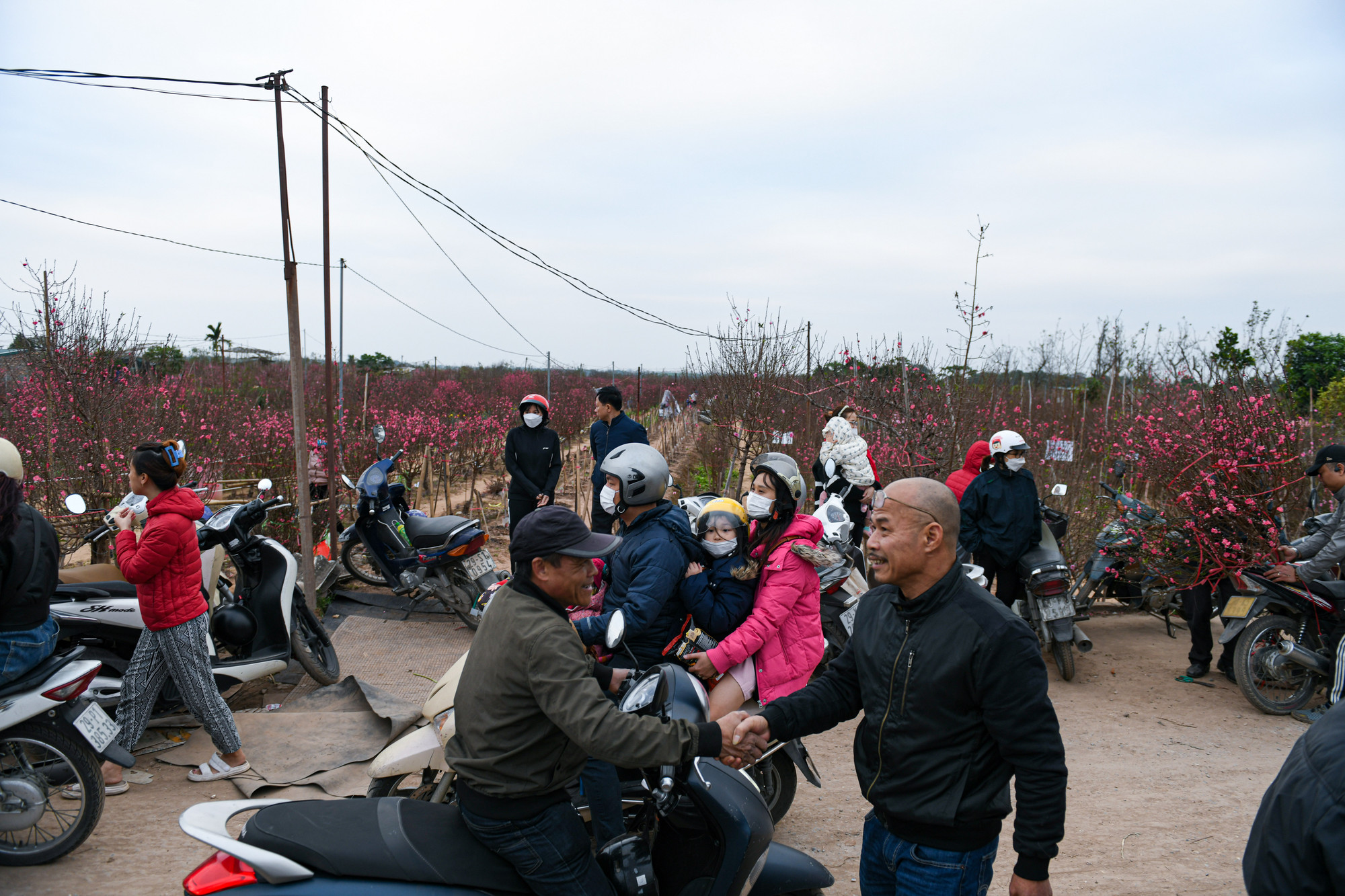 Ở Hà Nội, một trong những địa điểm nhộn nhịp nhất những ngày giáp Tết, chính là làng đào Nhật Tân (quận Tây Hồ). Tranh thủ ngày cuối tuần trời ấm áp, người dân nườm nượp kéo về "thủ phủ" đào chọn mua đào và cũng để du xuân.