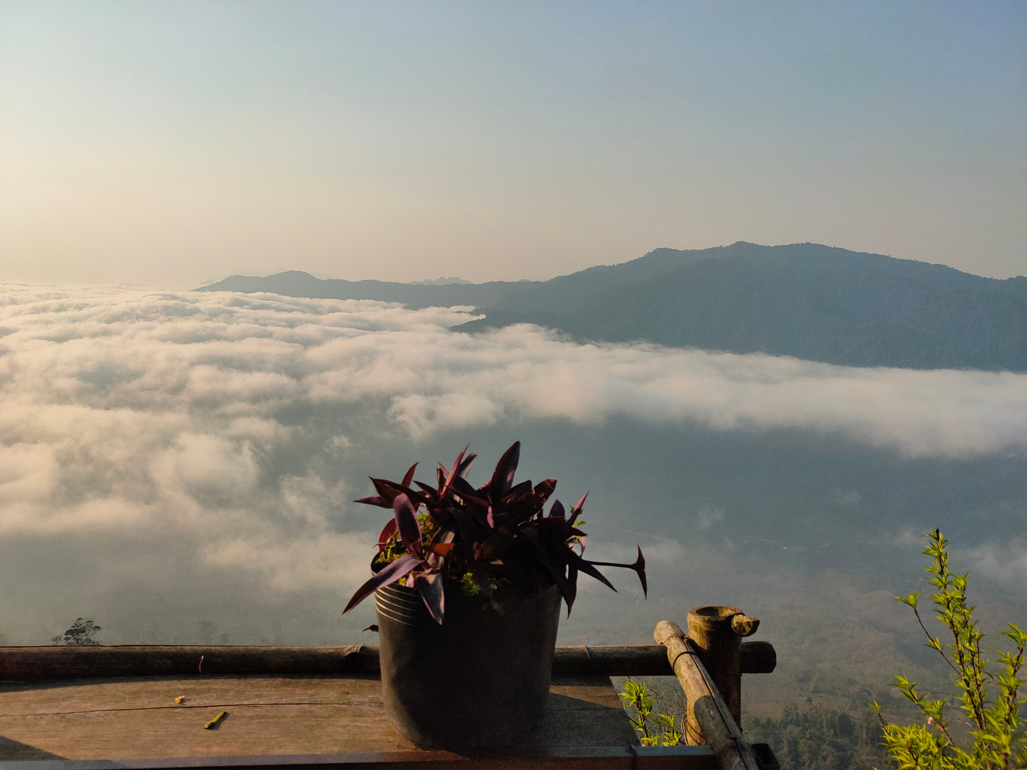 Gần 8 giờ sáng, ở một góc, biển mây đang dần tan.