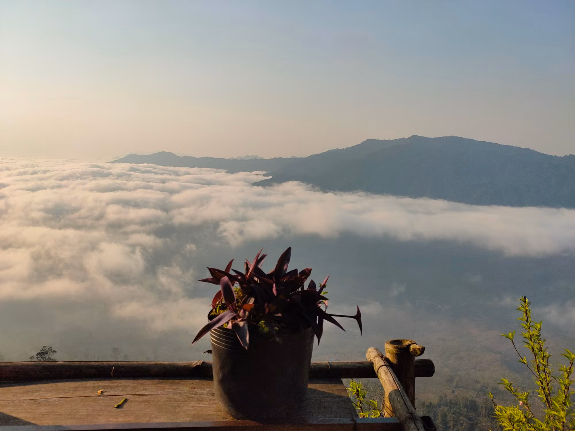 Gần 8 giờ sáng, ở một góc, biển mây đang dần tan.