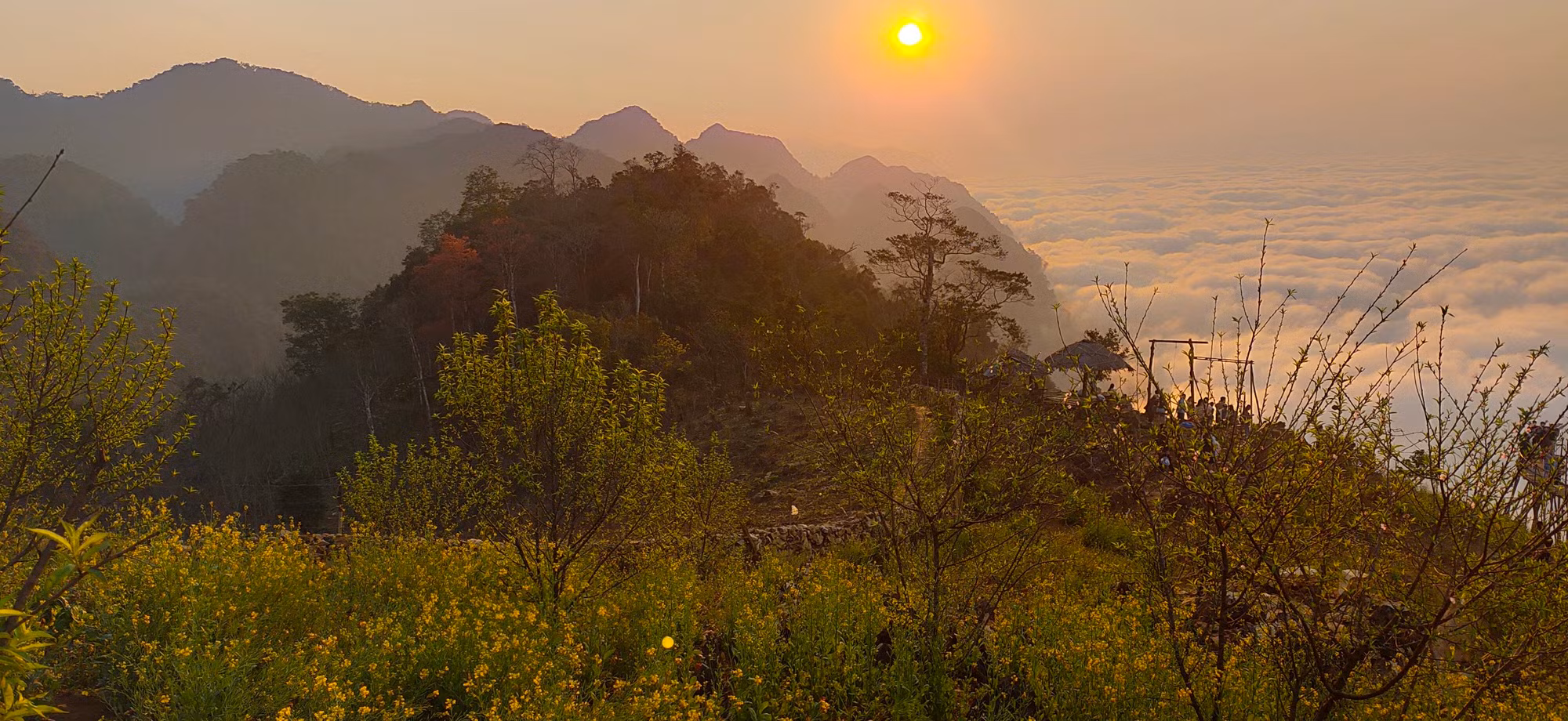 Quanh điểm săn mây, người dân trồng rất nhiều loài hoa như hoa cải, hoa tam giác mạch, ngũ sắc…. Mùa xuân, hoa cải vàng nở rực rỡ.