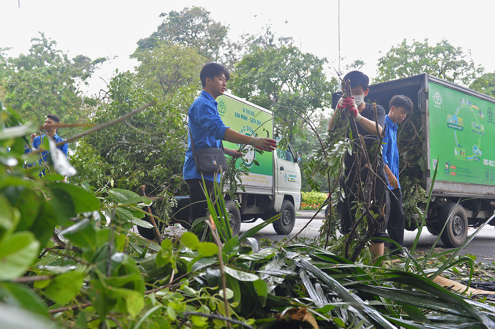 Tuy nhiên, do lượng cây xanh gẫy, đổ quá lớn, trang thiết bị chuyên dụng lại thiếu thốn, cho nên việc xử lý, dọn dẹp đã phải tiến hành liên tục nhiều ngày nay.