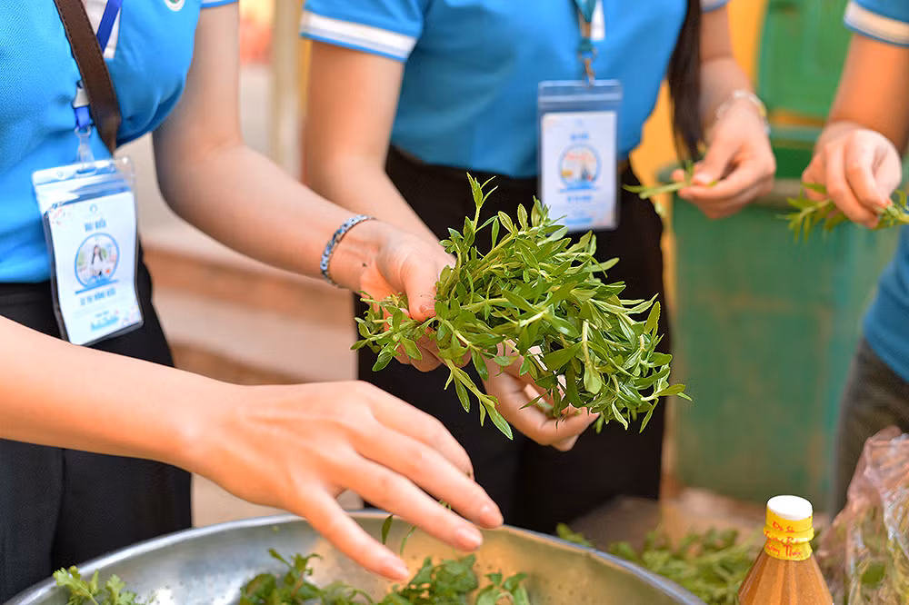 Chỉ một lát nữa thôi, những nguyên liệu này sẽ trở thành các món ăn thơm ngon, đầy đủ dinh dưỡng.