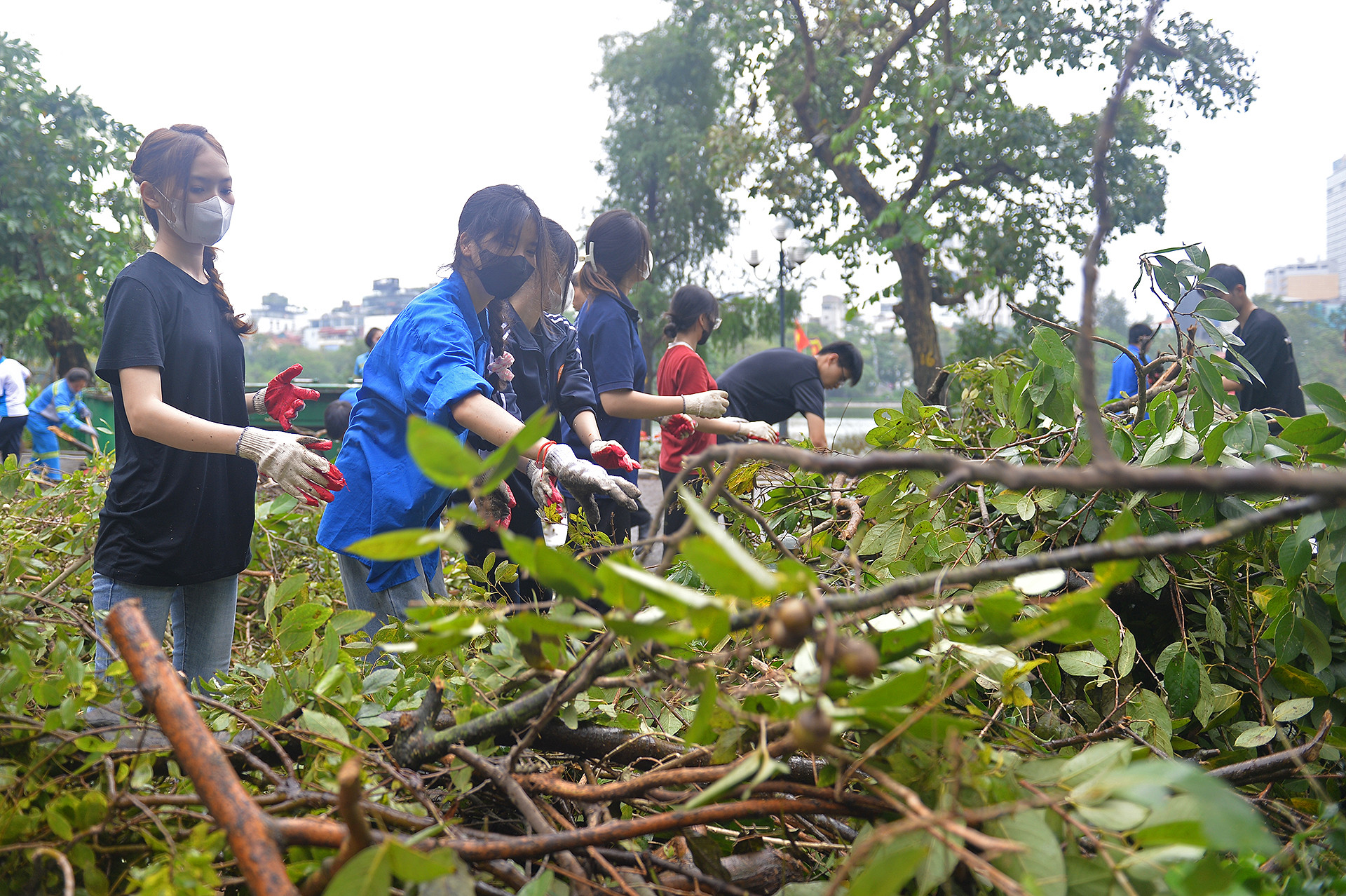 Mỗi ca làm nhiệm vụ có sự góp mặt của khoảng 30-50 đoàn viên, thanh niên, sinh viên tình nguyện. Các bạn trẻ chia thành 3-4 tổ cơ động để tiến hành công việc một cách khoa học nhất.