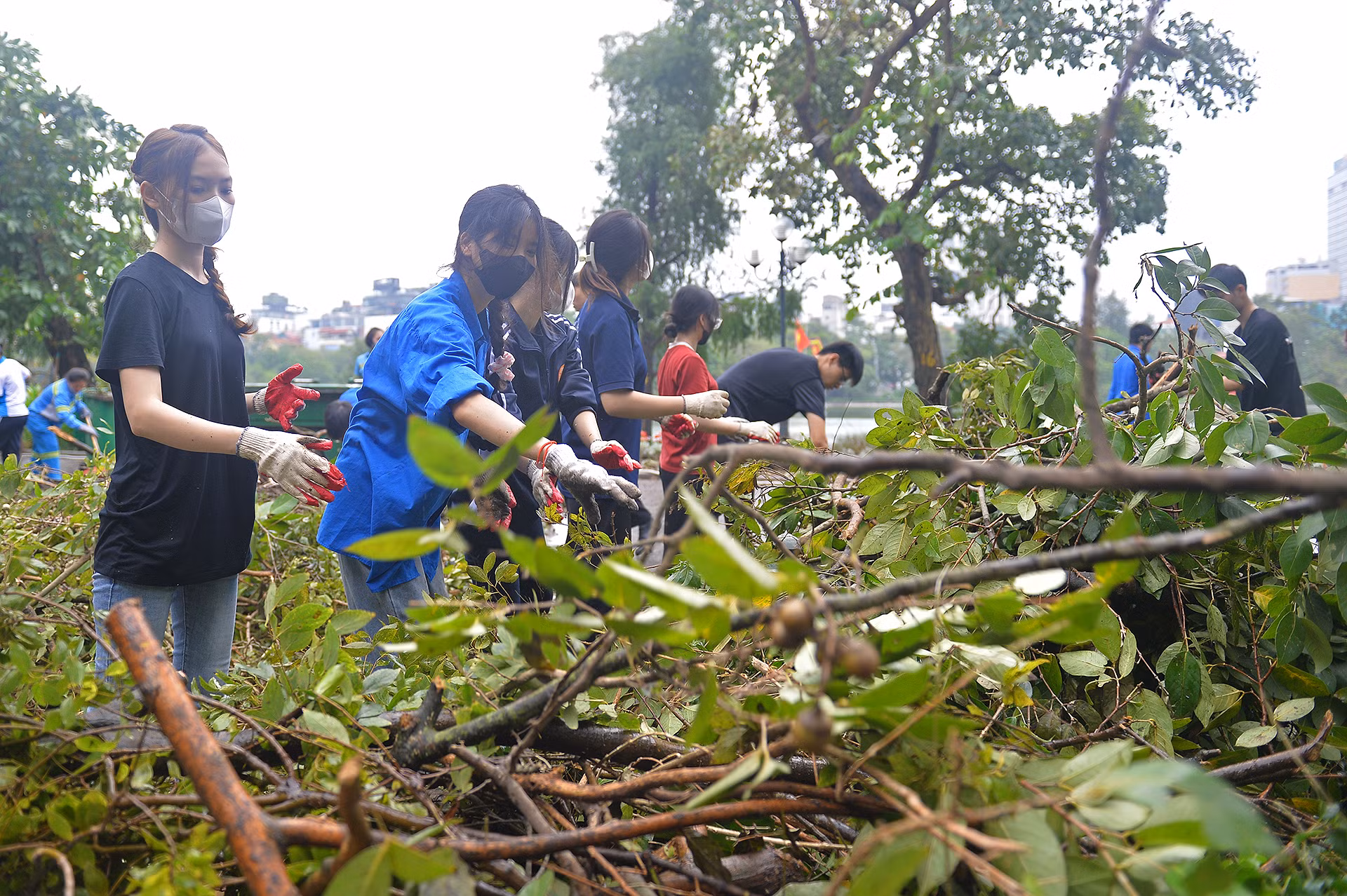Mỗi ca làm nhiệm vụ có sự góp mặt của khoảng 30-50 đoàn viên, thanh niên, sinh viên tình nguyện. Các bạn trẻ chia thành 3-4 tổ cơ động để tiến hành công việc một cách khoa học nhất.