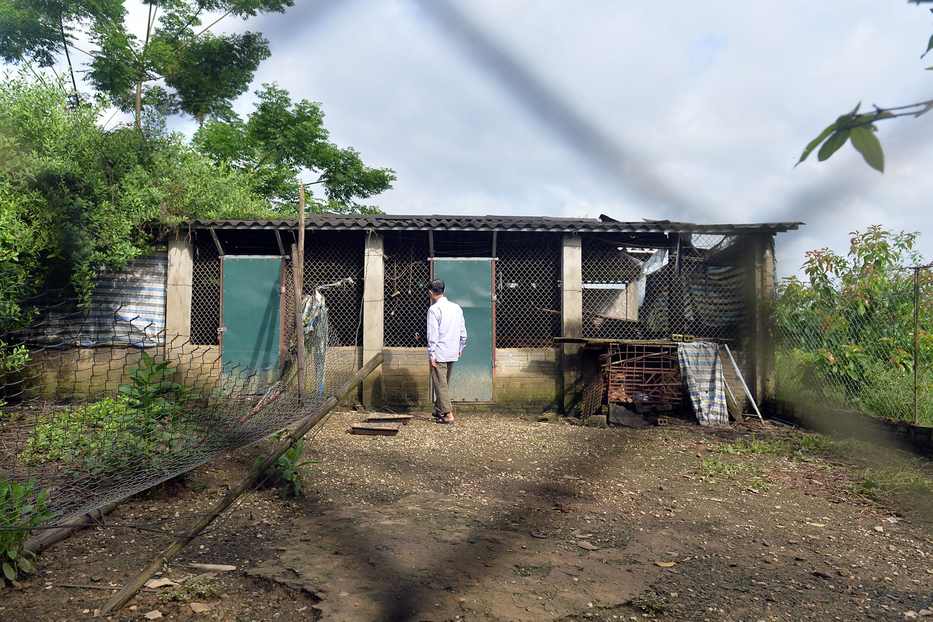 Ông Nguyễn Thanh Đức kiểm tra khu lán trại nuôi gia cầm của gia đình.