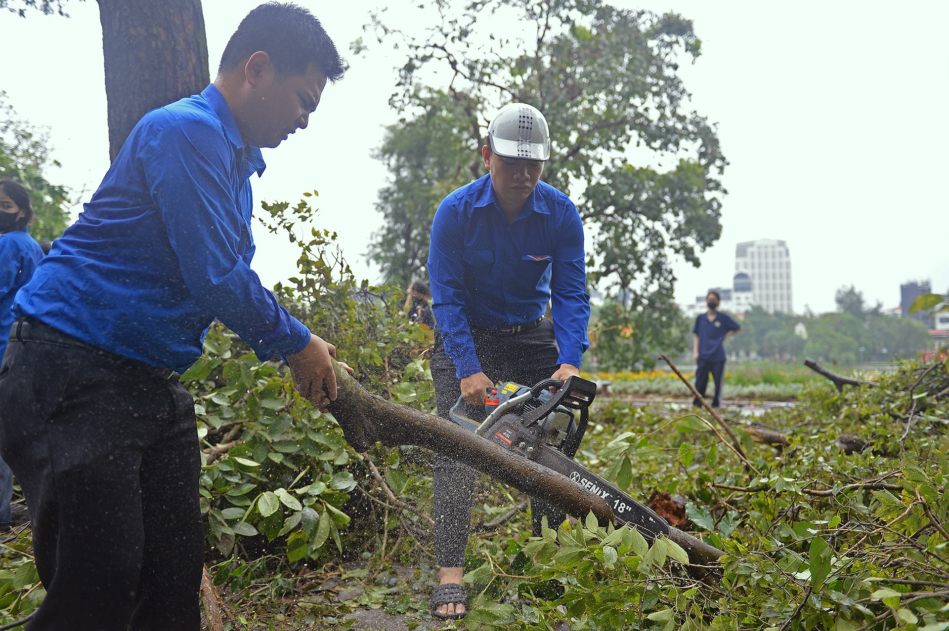 Quy trình thực hiện nhiệm vụ của lực lượng "áo xanh" lại chia thành 4 công đoạn. Trong đó, công đoạn đầu tiên là cưa, cắt gốc cây lớn bị gãy, đổ.