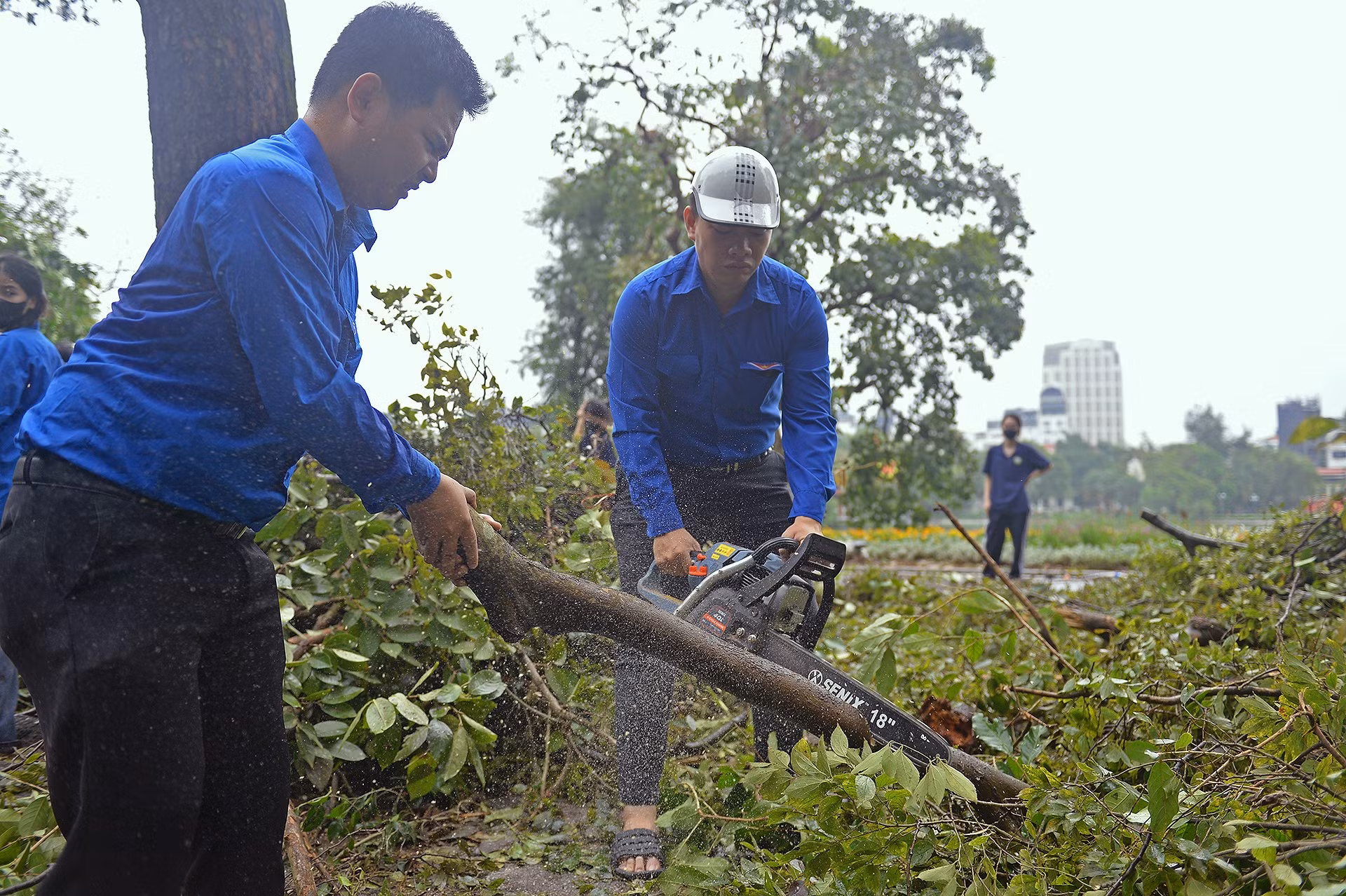 Quy trình thực hiện nhiệm vụ của lực lượng "áo xanh" lại chia thành 4 công đoạn. Trong đó, công đoạn đầu tiên là cưa, cắt gốc cây lớn bị gãy, đổ.