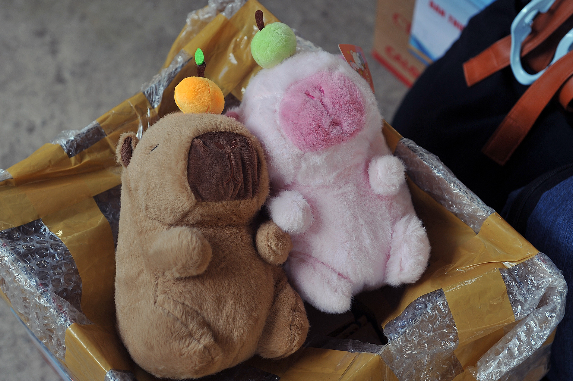 Đó có thể là những con thú bông, dây buộc tóc, hộp bút màu, quyển tập tô.