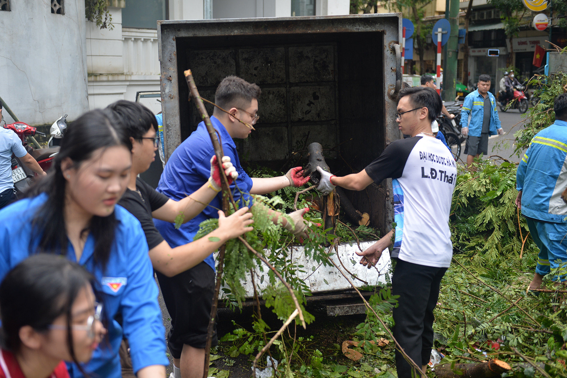 2 công đoạn cuối cùng gồm: phân loại cành, lá và thân cây lớn; vận chuyển lên xe chuyên dụng để chở đi xử lý.