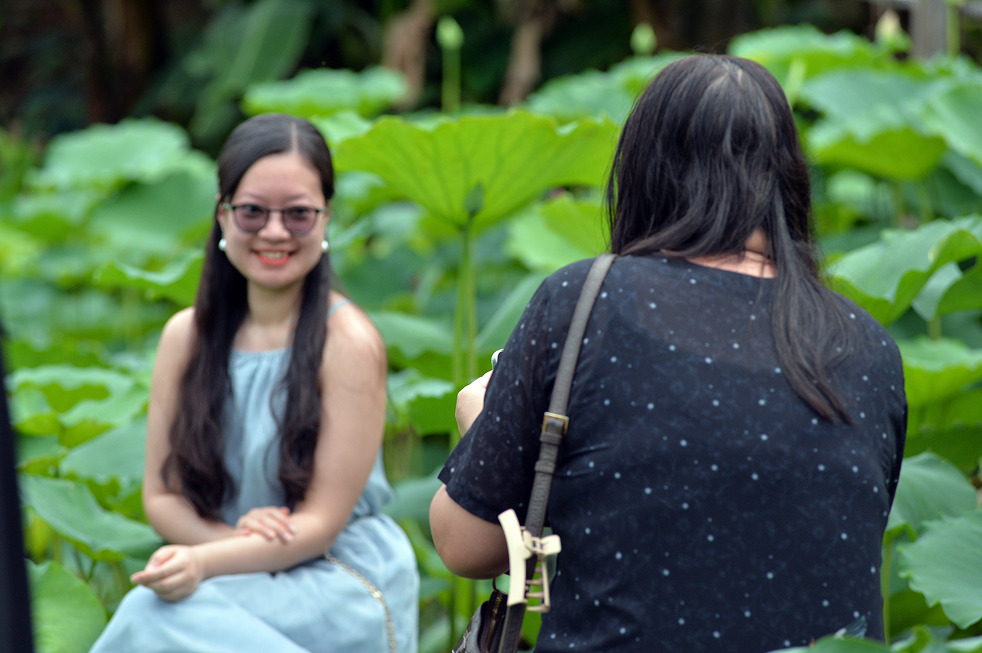 Ở một góc khác của đầm sen, một cặp mẹ và con gái khác cũng đang lần lượt chụp cho nhau những tấm ảnh bên hoa sen.
