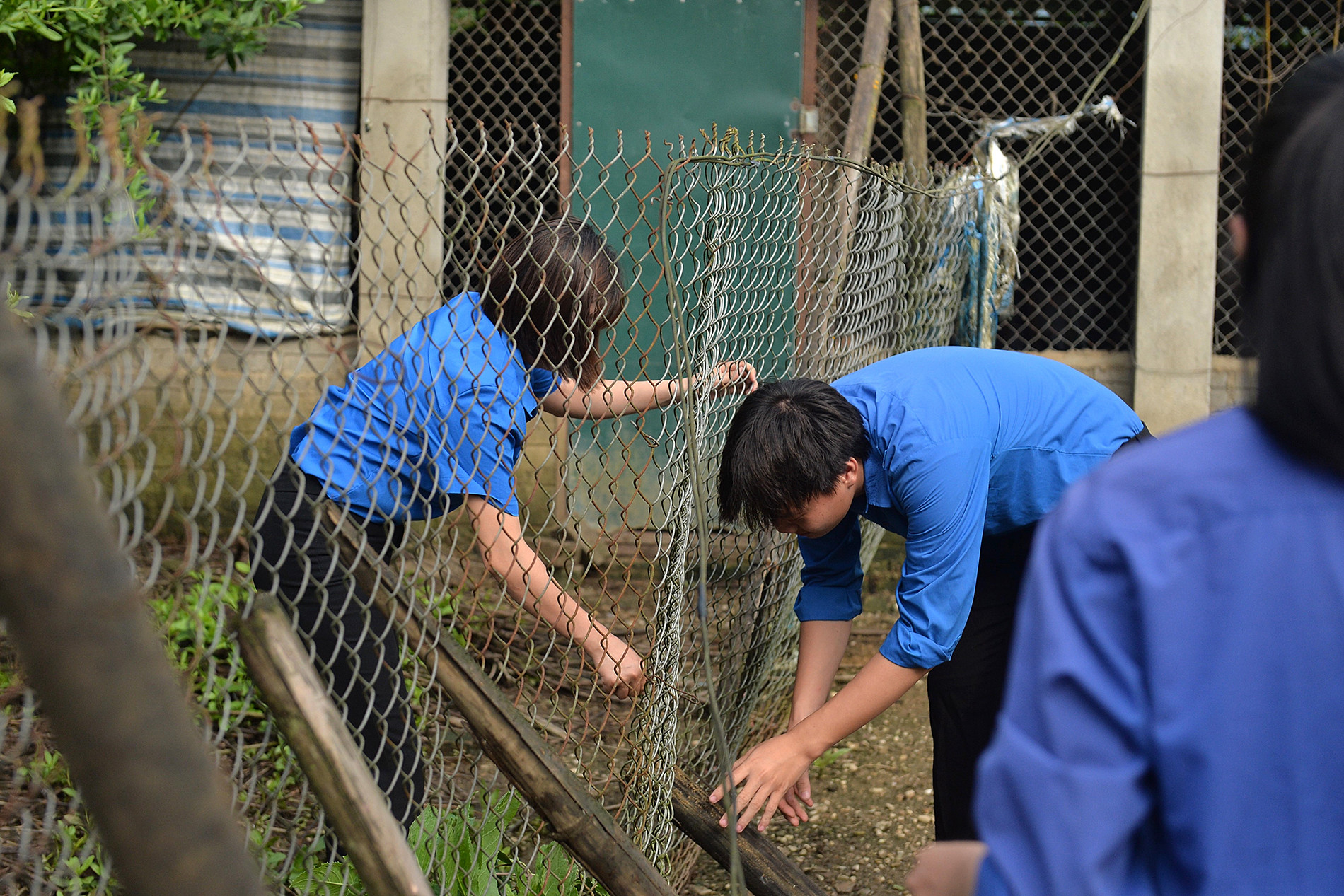 Đoàn viên, thanh niên địa phương hỗ trợ vợ chồng ông Đức dựng lại hàng rào bị đổ sau đợt mưa lũ vừa qua.