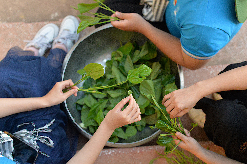 Những nguyên liệu tươi ngon trong công đoạn chuẩn bị.