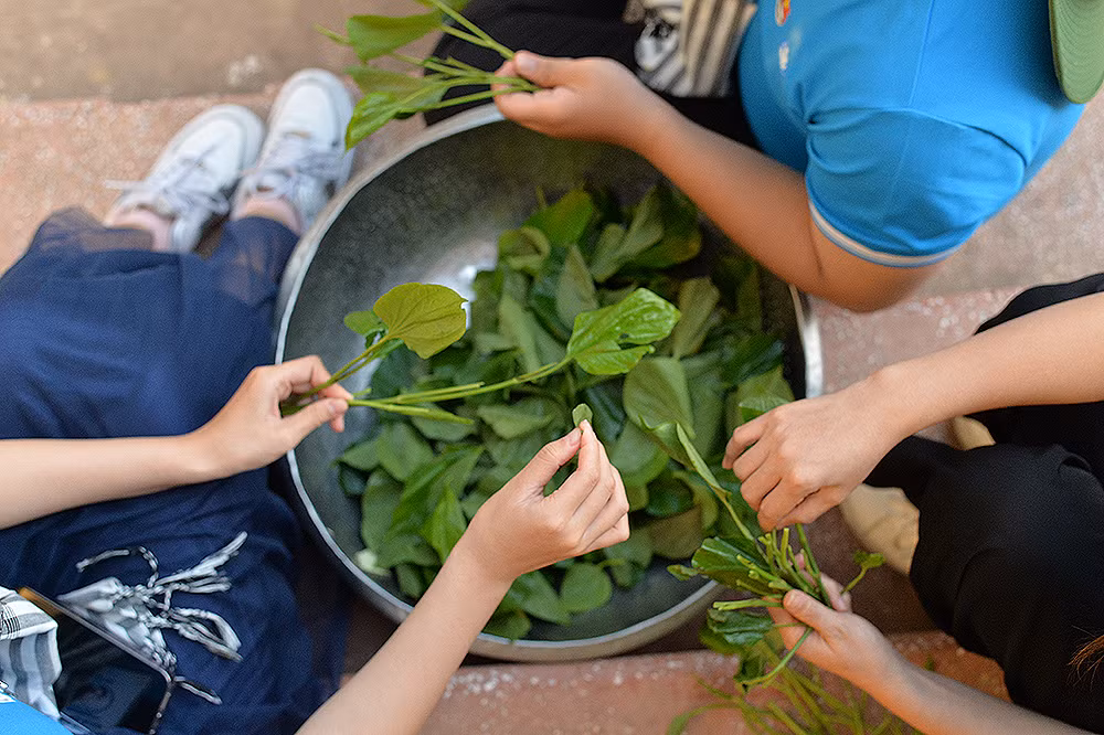 Những nguyên liệu tươi ngon trong công đoạn chuẩn bị.