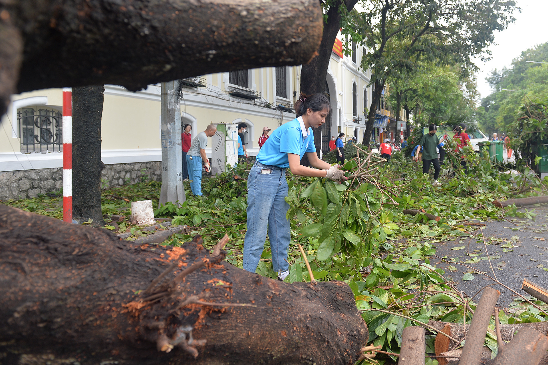Tình nguyện viên dọn dẹp cây xanh gãy, đổ ở khu vực trước cổng Sở Văn hóa và Thể thao Thành phố Hà Nội.