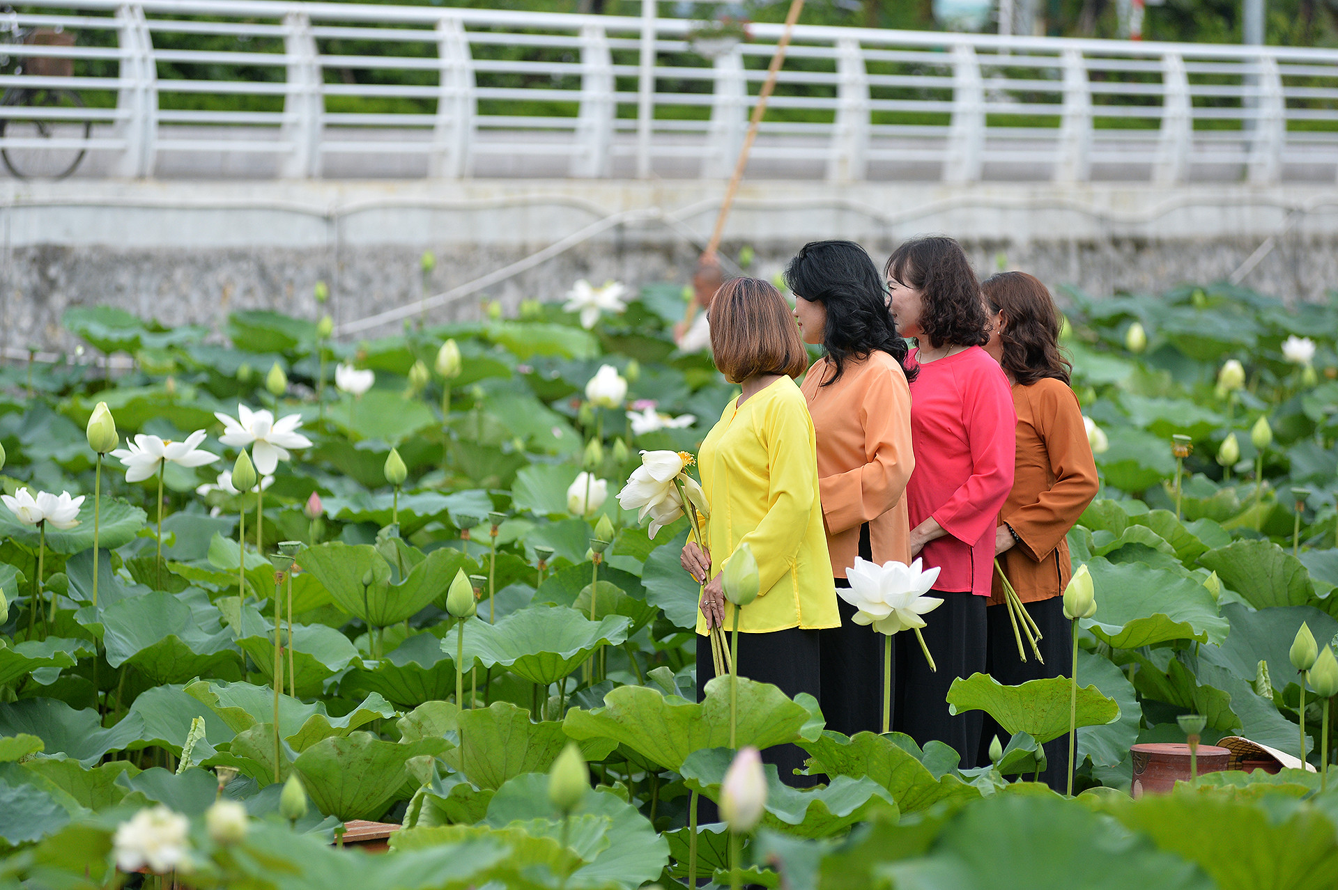 Không chỉ các bạn trẻ, nhiều phụ nữ trung tuổi cũng tìm đến đầm sen để lưu lại những khoảnh khắc đẹp cùng bạn bè.