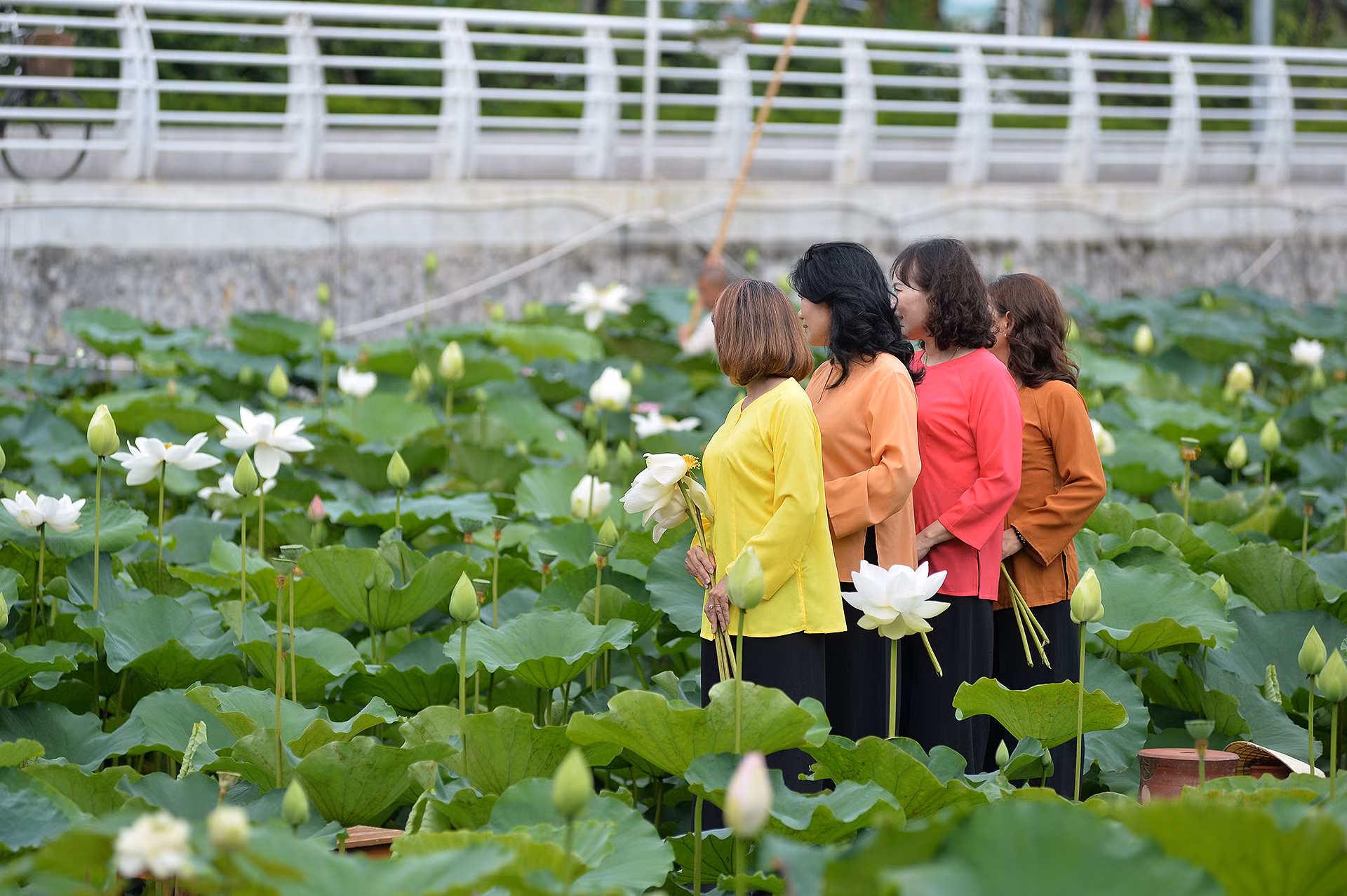 Không chỉ các bạn trẻ, nhiều phụ nữ trung tuổi cũng tìm đến đầm sen để lưu lại những khoảnh khắc đẹp cùng bạn bè.