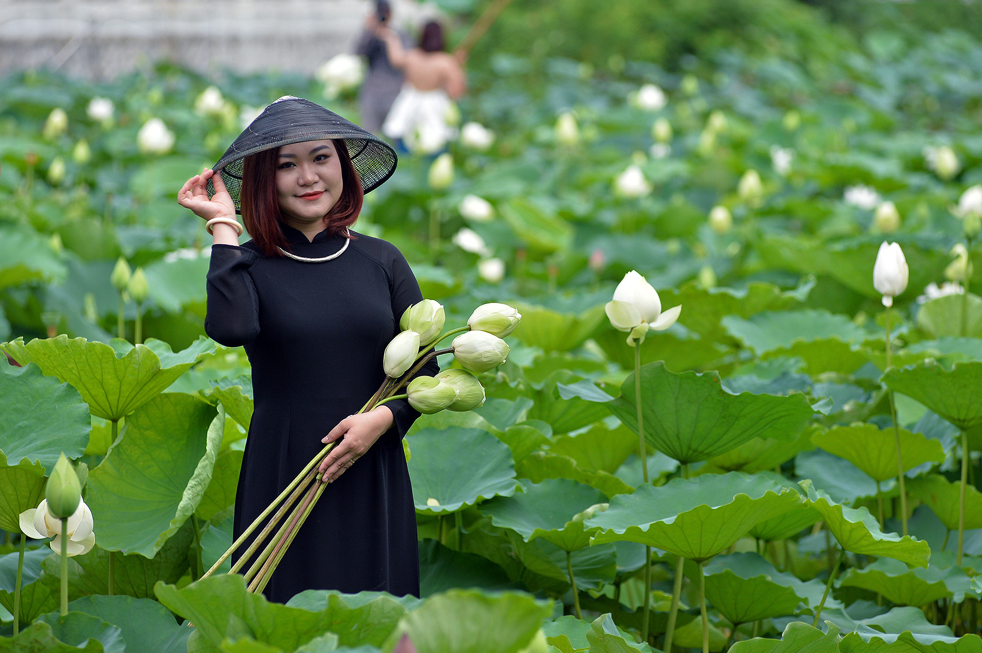 Vào mùa cao điểm, mỗi đầm sen có kinh doanh dịch vụ chụp ảnh ở Thủ đô có thể đón từ 200-400 khách mỗi ngày.