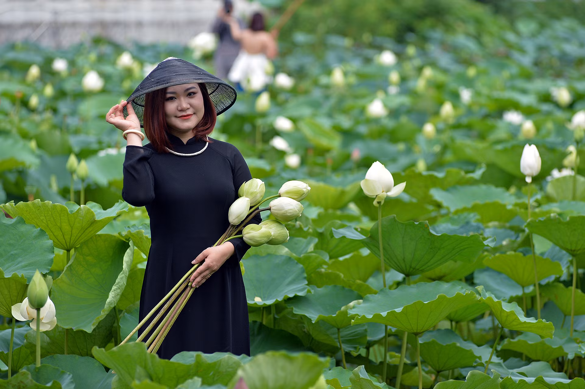 Vào mùa cao điểm, mỗi đầm sen có kinh doanh dịch vụ chụp ảnh ở Thủ đô có thể đón từ 200-400 khách mỗi ngày.