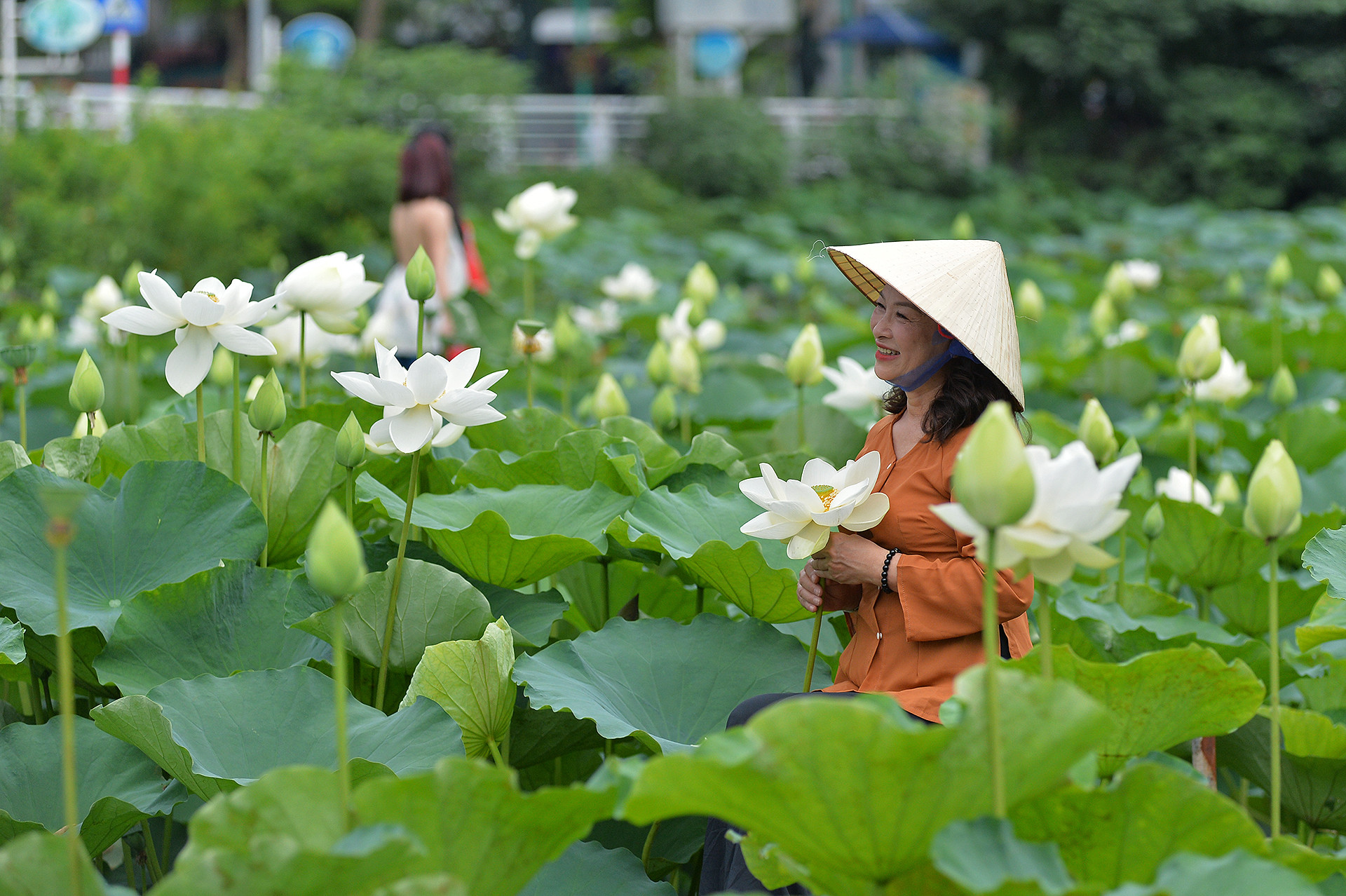 Không ít người đã tìm đến đầm sen để có cho mình một tấm ảnh bên những đóa sen nở sớm vào cuối tháng 5.