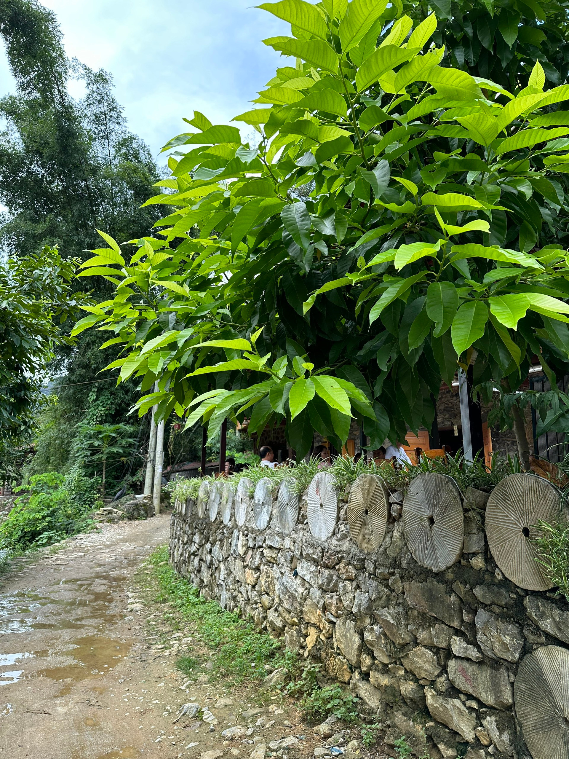 Những bức tường rào làm bằng đá ở Khuổi Ky. (Ảnh: THI PHONG)