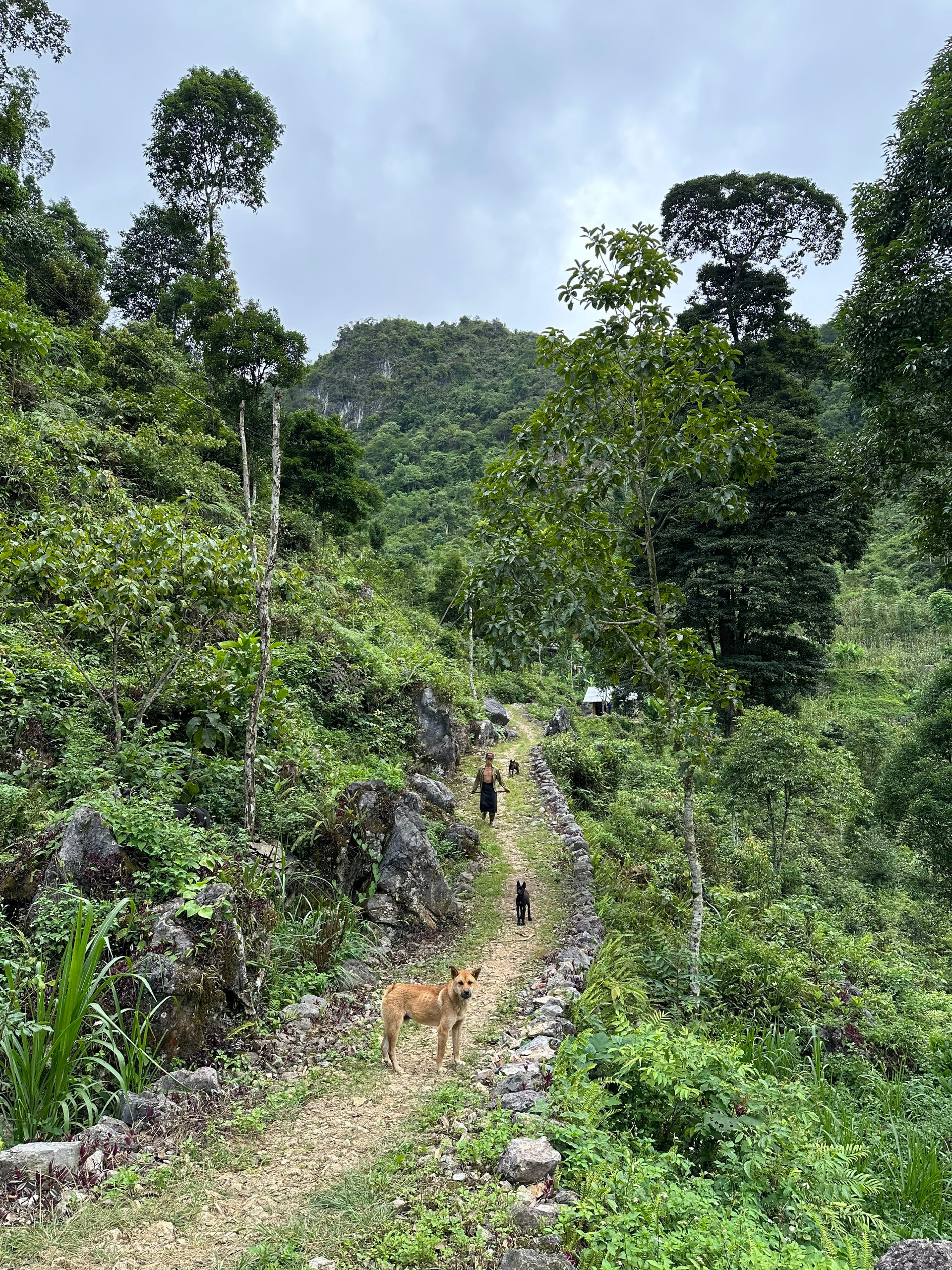Đường vào xã Thượng Thôn. (Ảnh: THI PHONG)