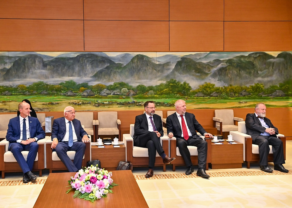 [Ảnh] Chủ tịch Quốc hội Vương Đình Huệ tiếp Phó Chủ tịch Hạ viện Cộng hòa Séc Jan Bartosek ảnh 4