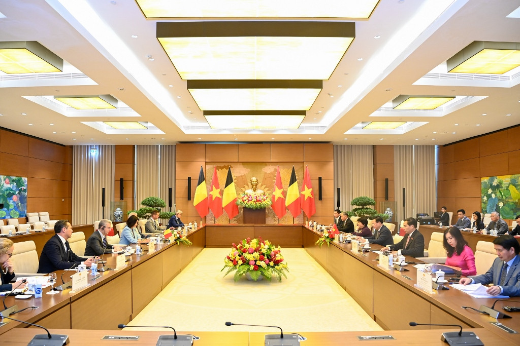 [Ảnh] Chủ tịch Quốc hội Vương Đình Huệ hội đàm với Chủ tịch Thượng viện Vương quốc Bỉ ảnh 7