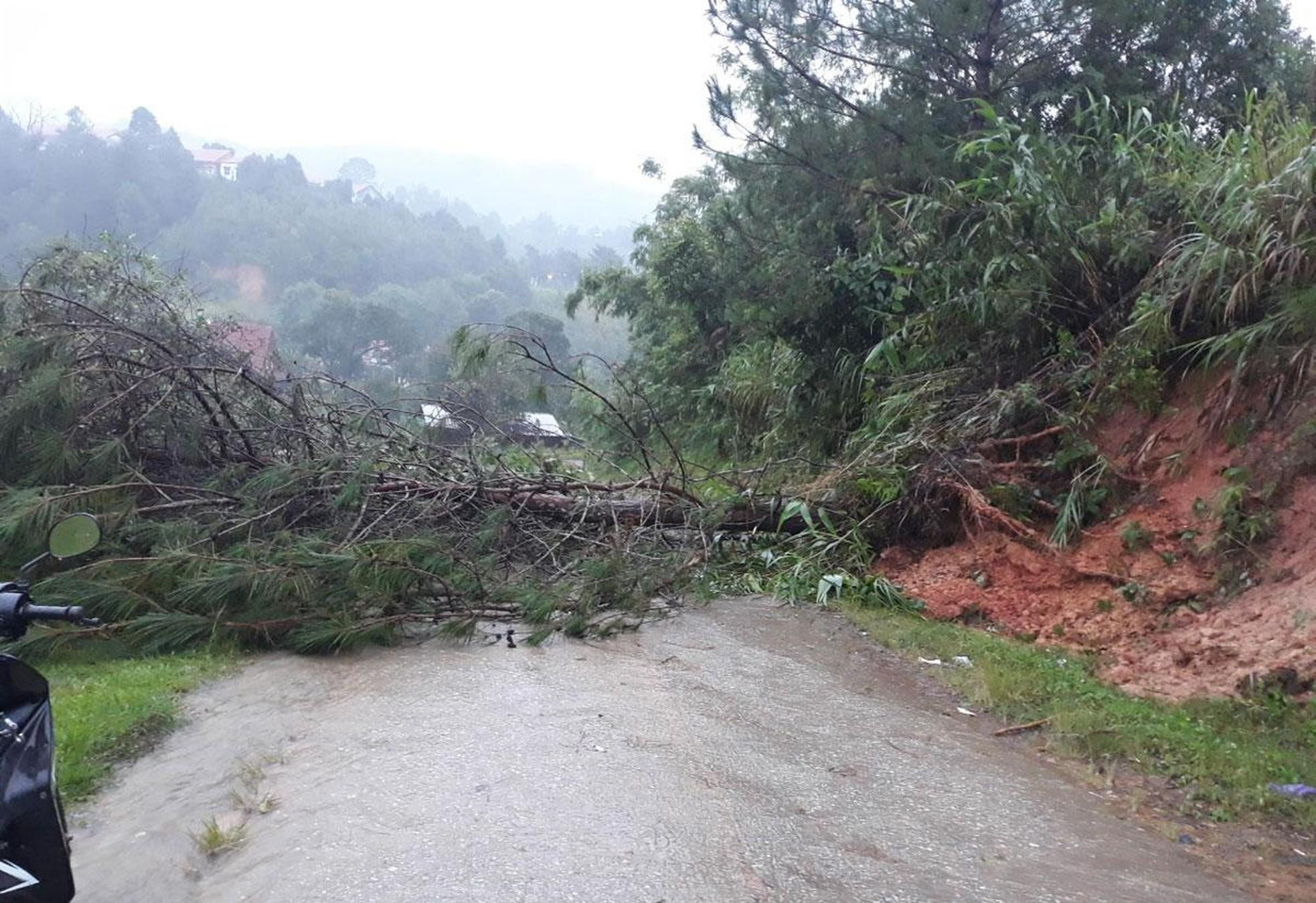 Tại Kom Tum, cây đổ chắn ngang đường tại thôn Ba Khen, xã Văn Xuôi, huyện Tu Mơ Rông, tỉnh Kon Tum.