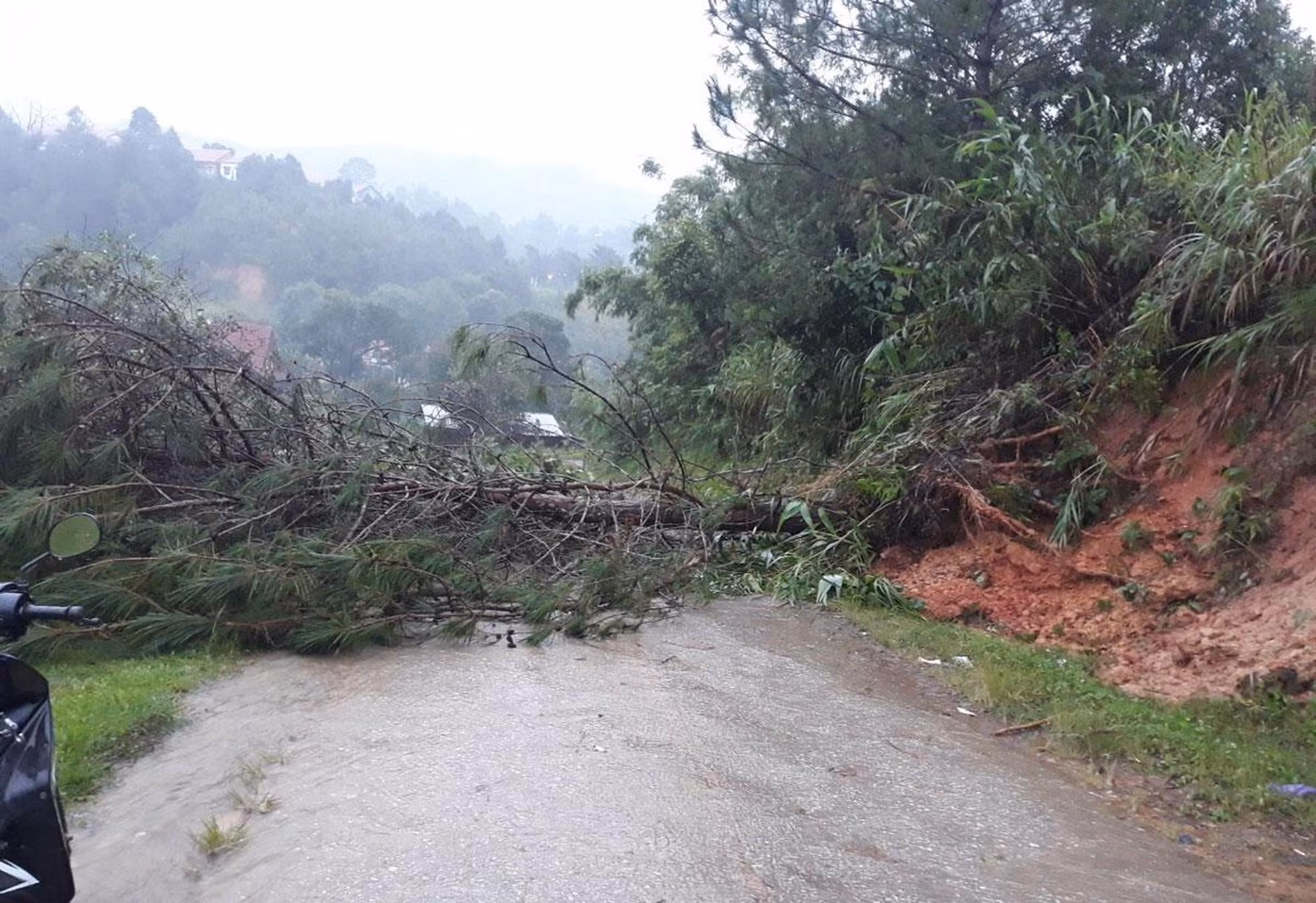 Tại Kom Tum, cây đổ chắn ngang đường tại thôn Ba Khen, xã Văn Xuôi, huyện Tu Mơ Rông, tỉnh Kon Tum.