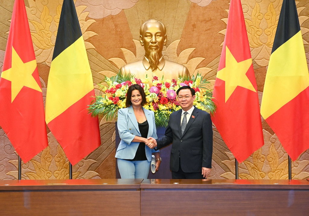 [Ảnh] Chủ tịch Quốc hội Vương Đình Huệ hội đàm với Chủ tịch Thượng viện Vương quốc Bỉ ảnh 6