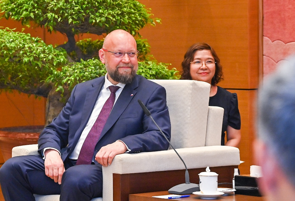 [Ảnh] Chủ tịch Quốc hội Vương Đình Huệ tiếp Phó Chủ tịch Hạ viện Cộng hòa Séc Jan Bartosek ảnh 7