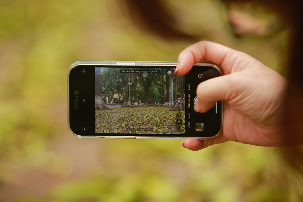 [Ảnh] Nơi mùa sấu thay lá ảnh 8